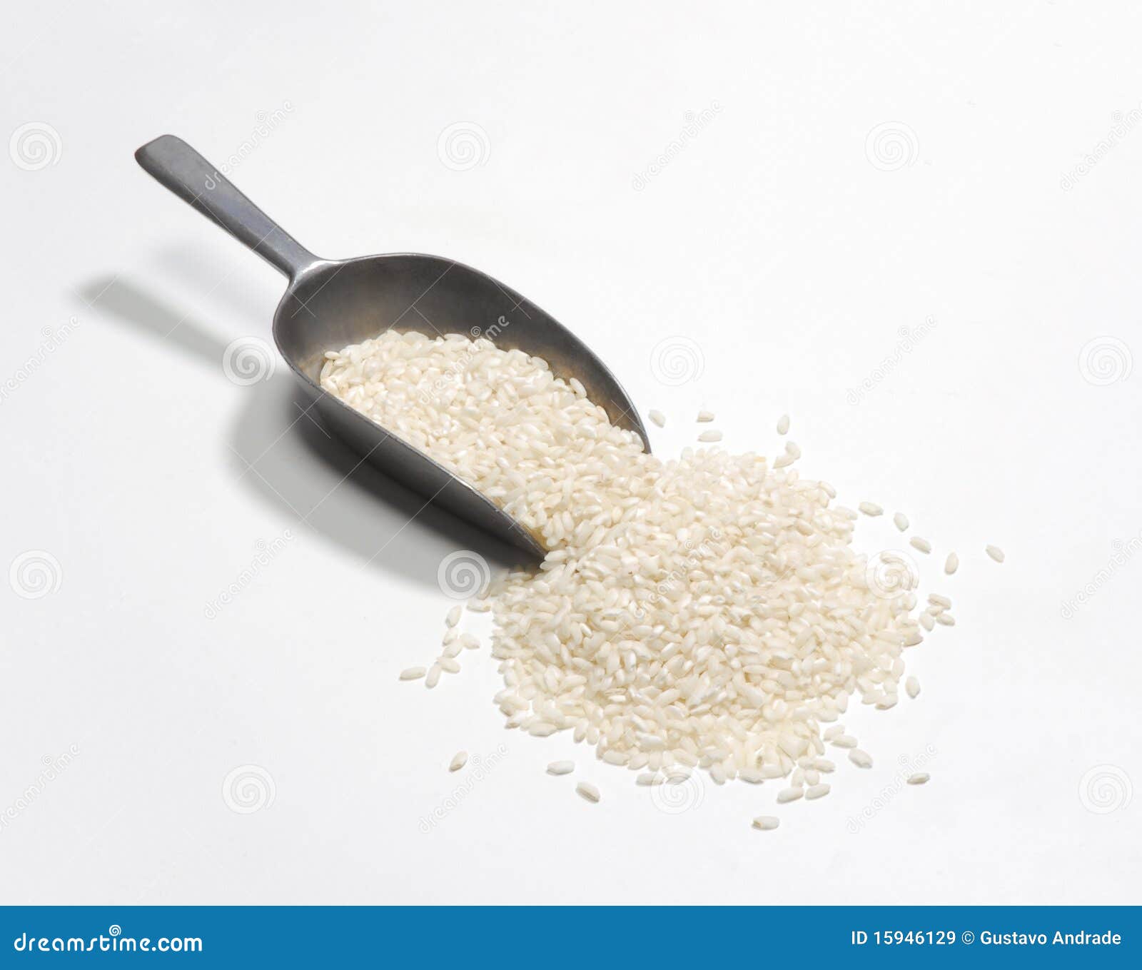 Rice spoon. stock image. Image of rice, freshness, fresh 15946129