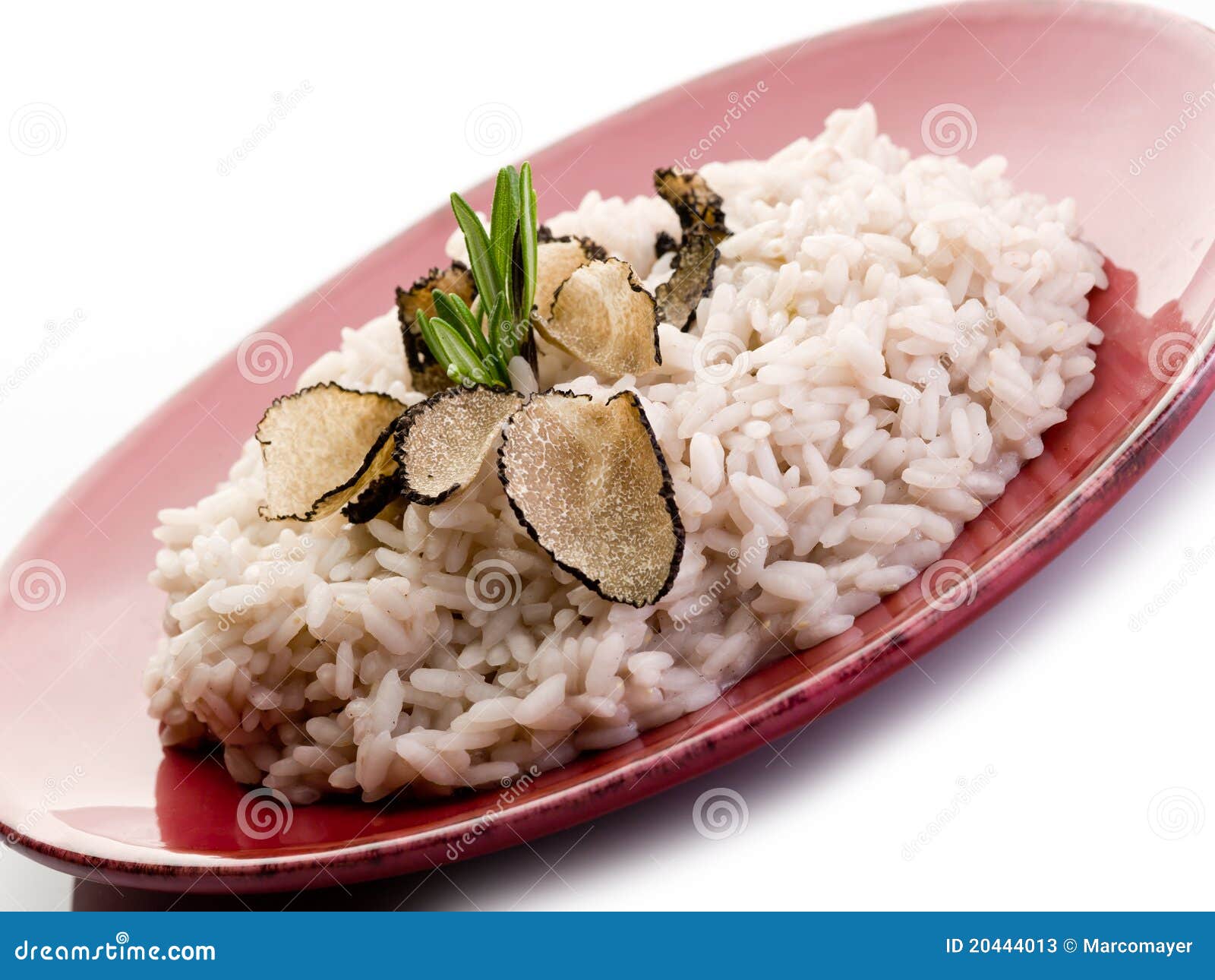 Rice with truffle stock image. Image of cuisine, rice 20444013
