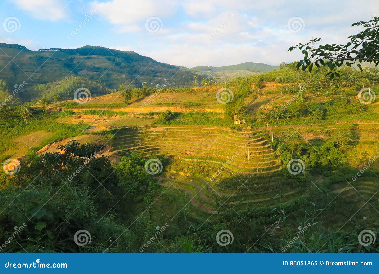 ricefields in vietnam, ha giang