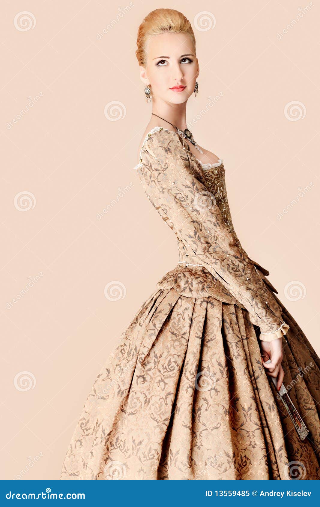 Rich dress stock image. Image of aristocrat, love, carnival 13559485