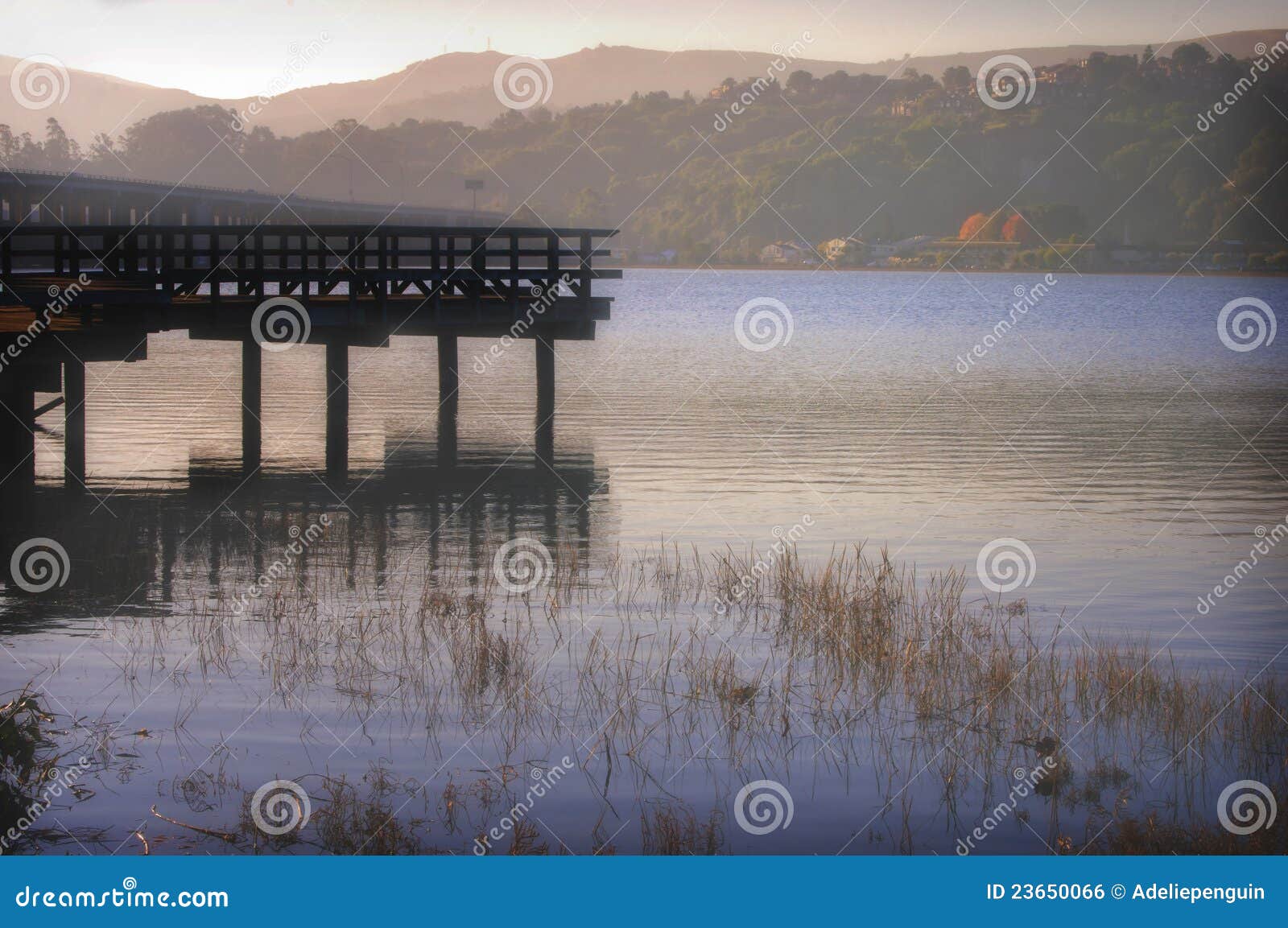 richardson bay, marin county, california