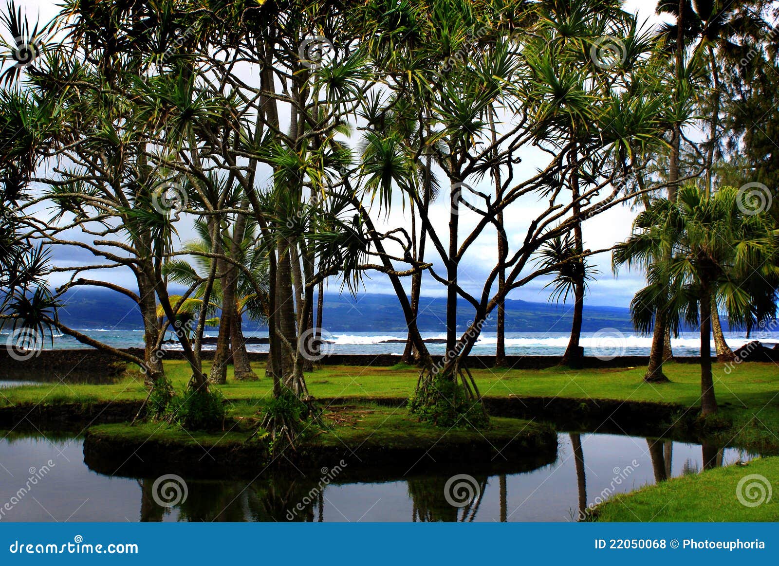 richardson beach park in hilo, hawaii