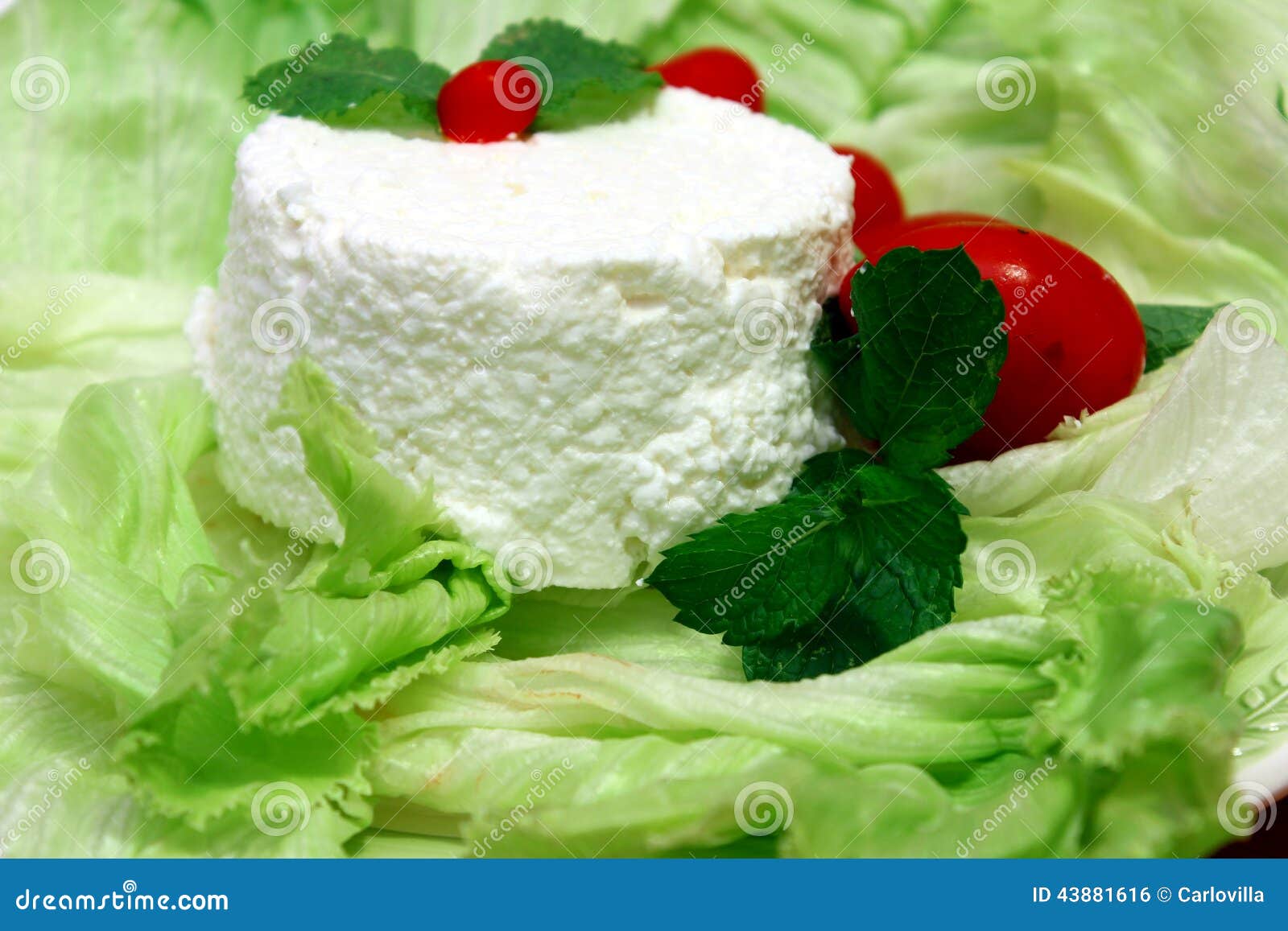Ricotta cheese stock photo. Image of thin, cheese, dish 43881616