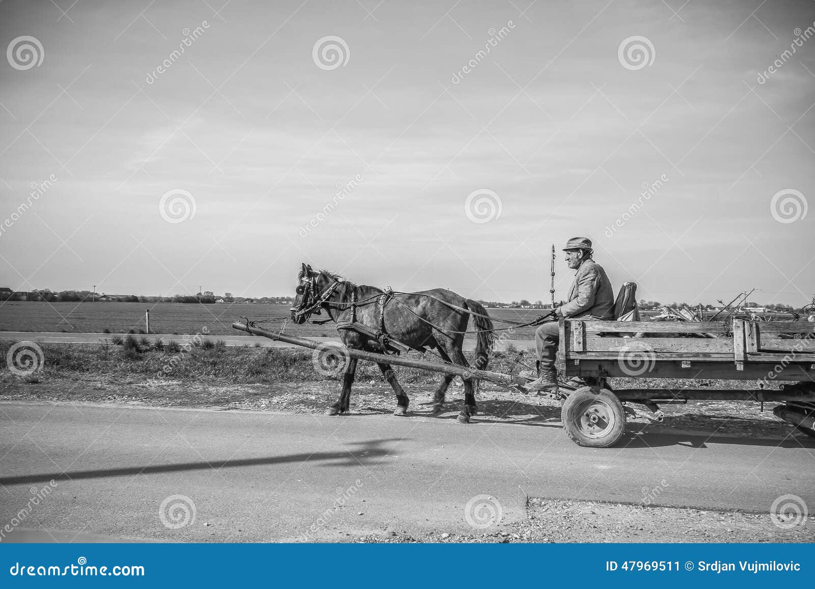 Ride Along editorial photo. Image of horse, rider, rubber 47969511