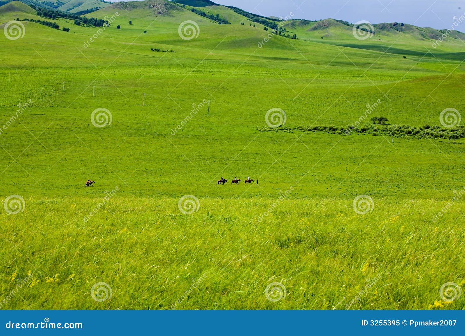 ride on the broad grassland