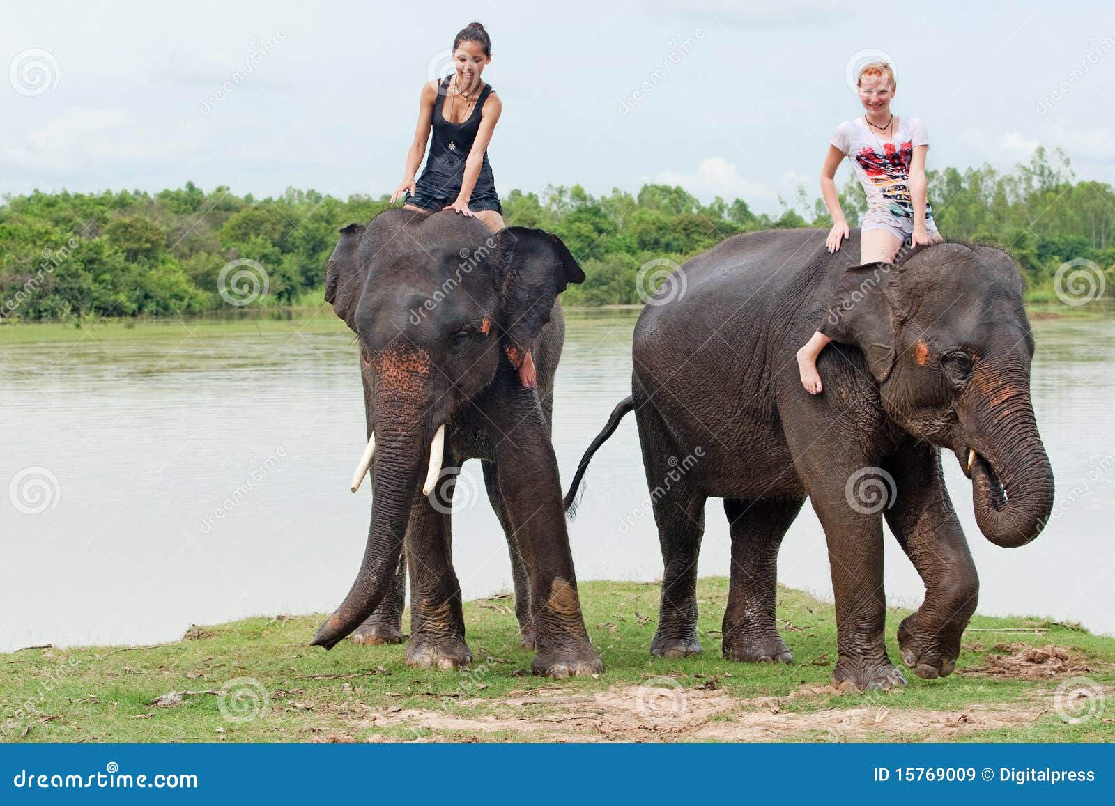 Ride an elephant stock image. Image of river, ride, mammal 15769009