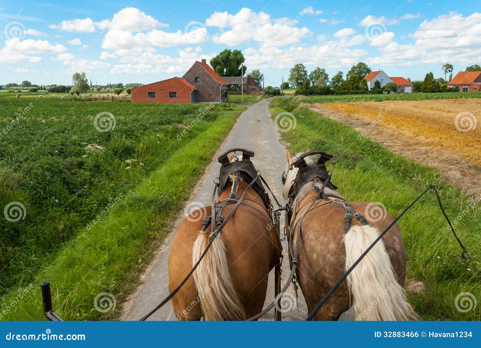 Ride through the Flemish Fields with Horse and Covered Wagon. Stock
