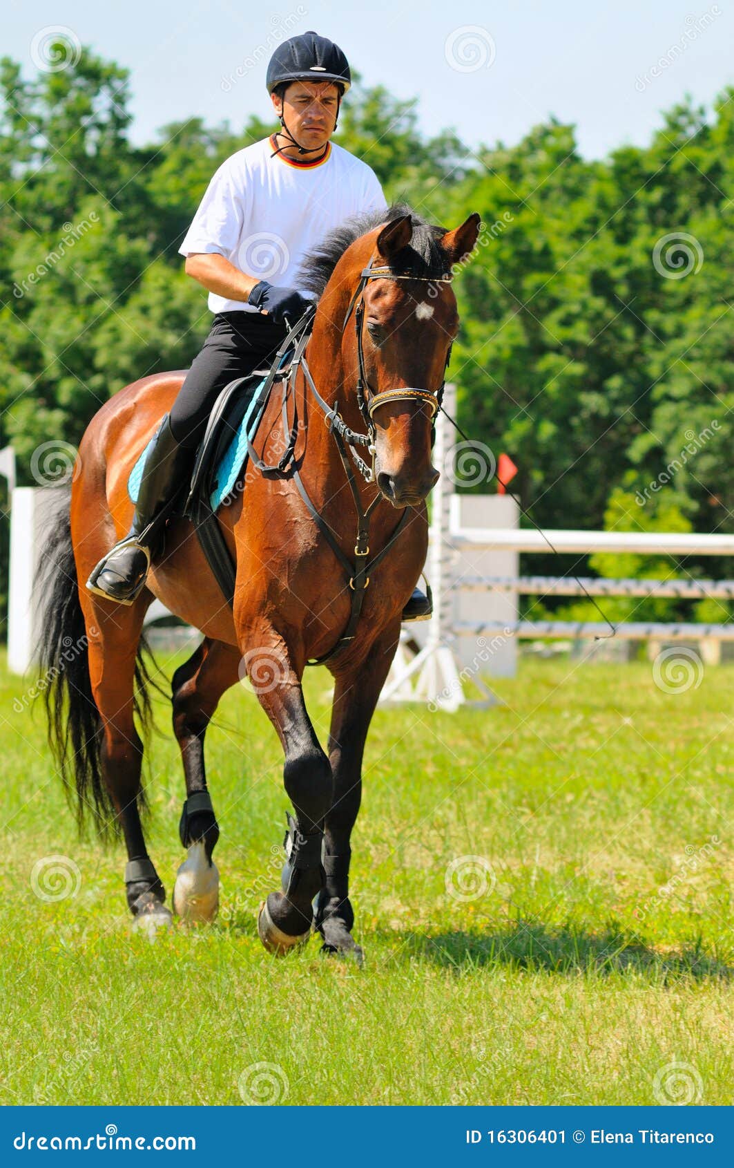 rider on bay sportive horse