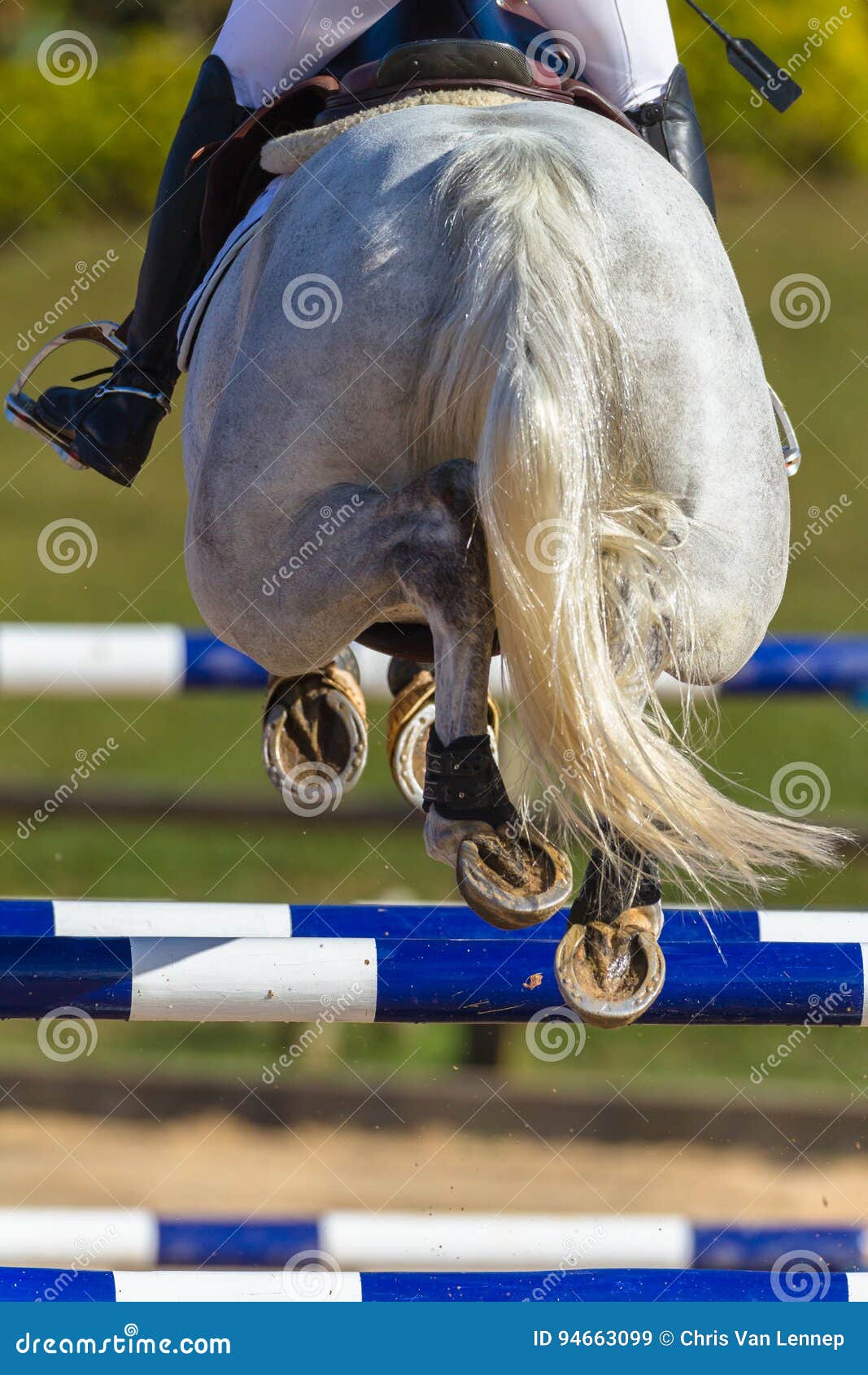 rider horse jumping closeup rear hoofs