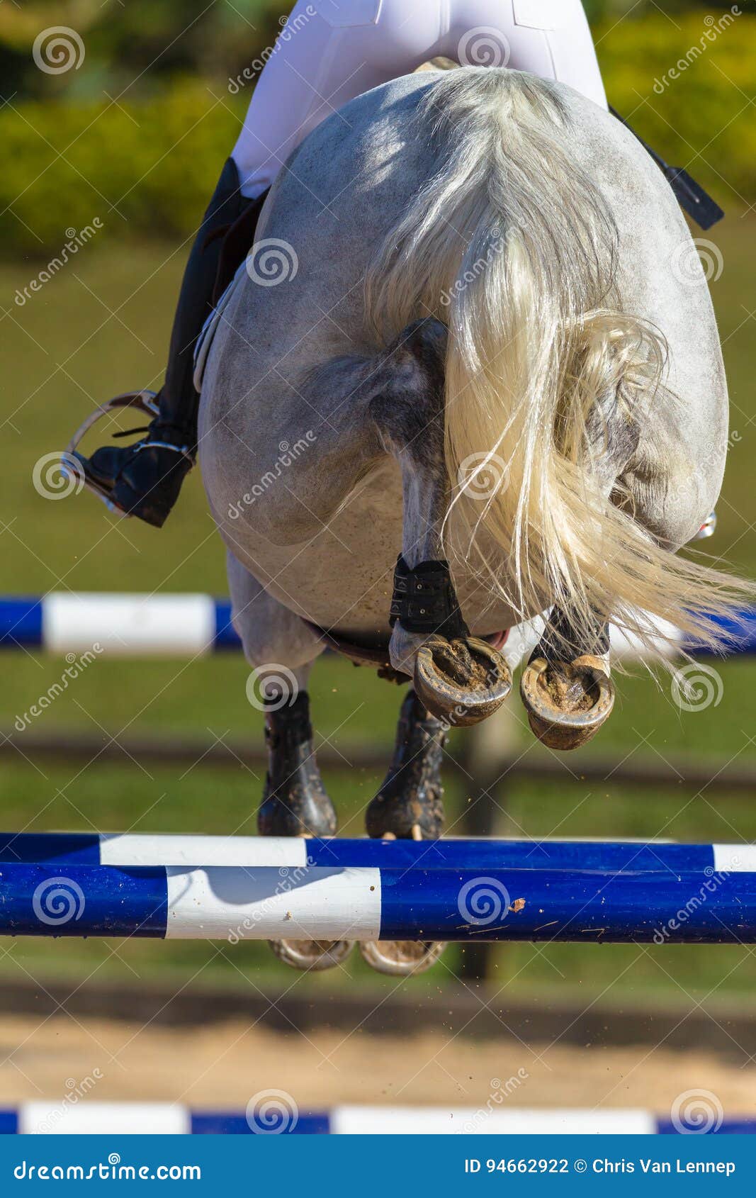 rider horse jumping closeup rear hoofs