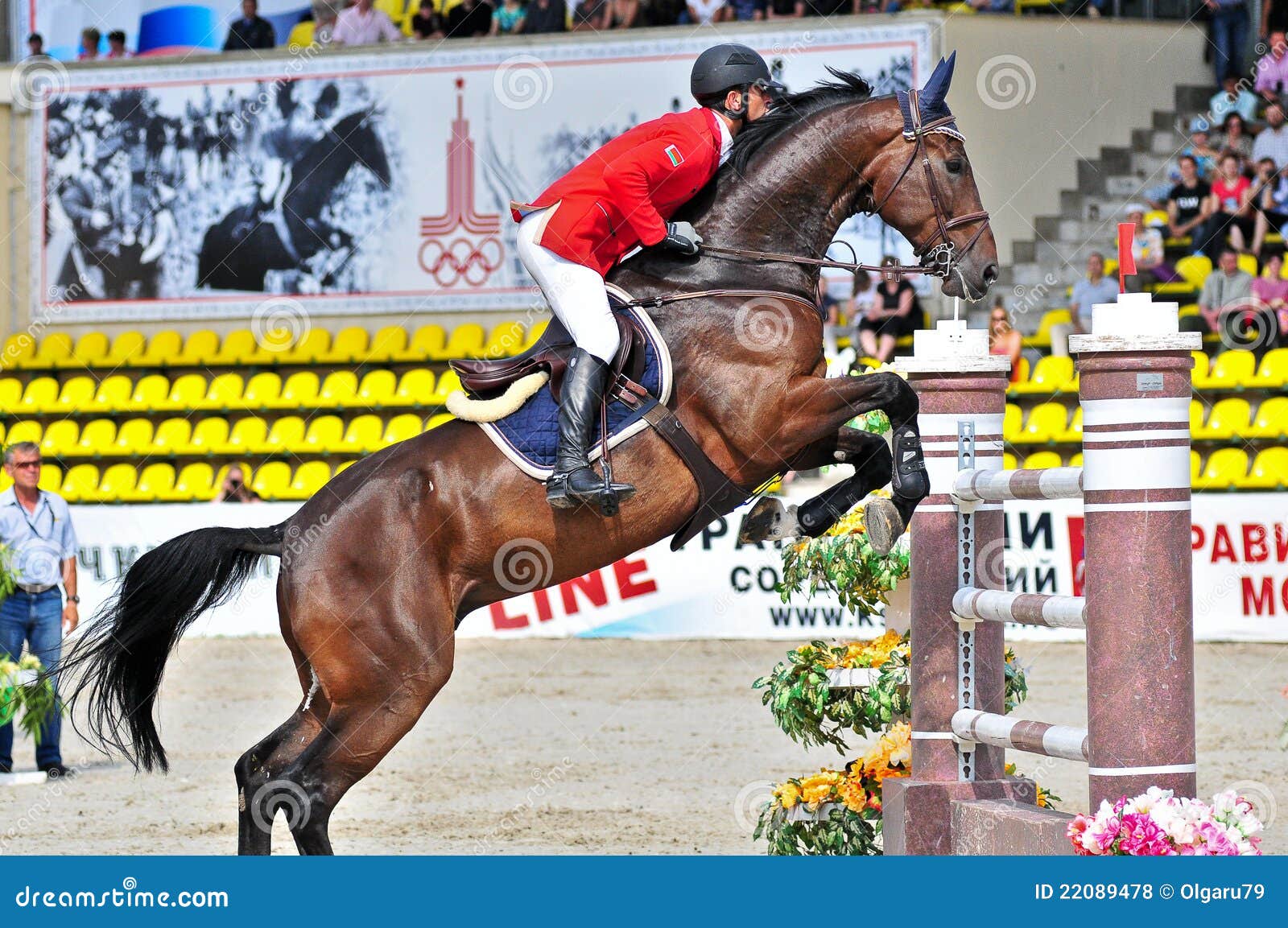 Rider on show jump horse editorial stock photo. Image of breed 22089478