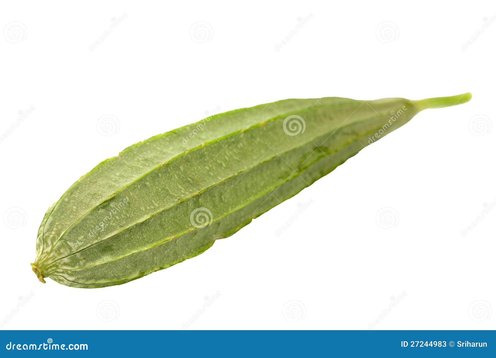 Ridge Gourd Stock Photo CartoonDealer 171166332 ridge-gourd-stock-photo-cartoondealer-171166332