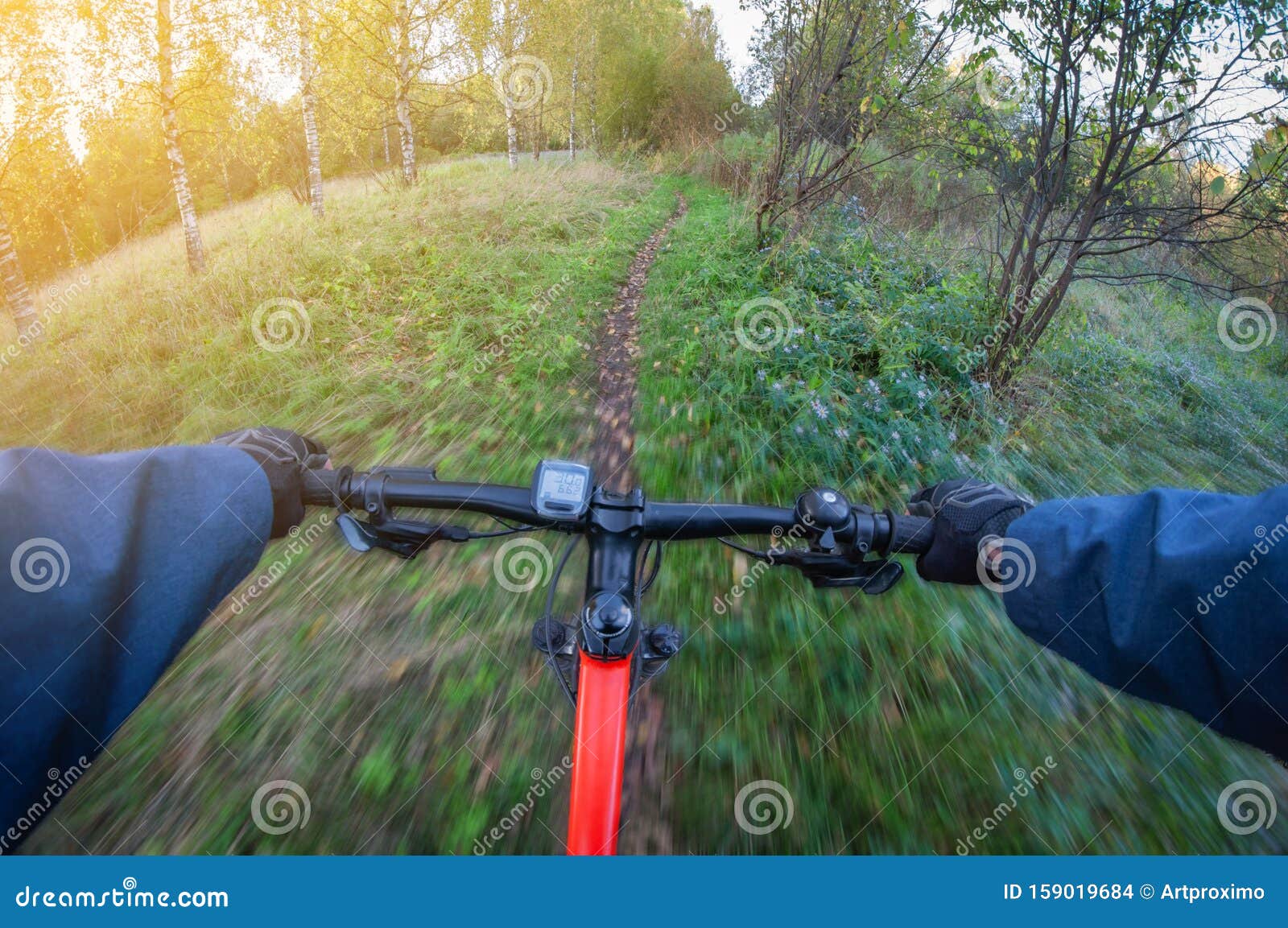 Download Riding Bike In Forest In Autumn, First-person View ...