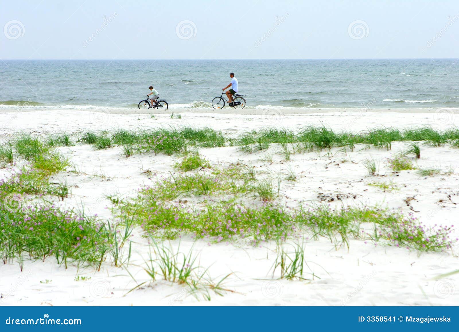 best bikes for beach riding