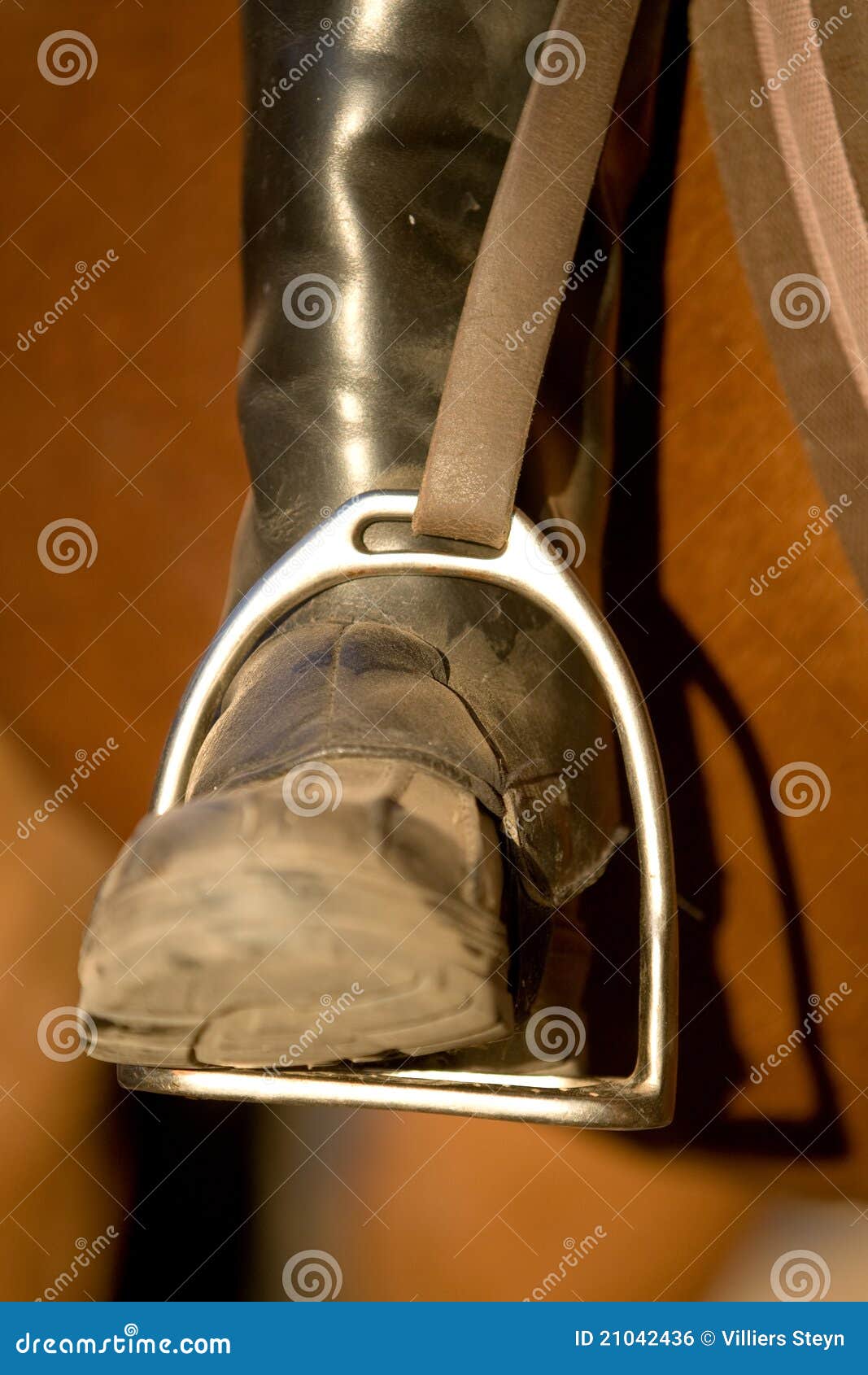 Riding boot stock photo. Image of riding, rider, horse - 21042436