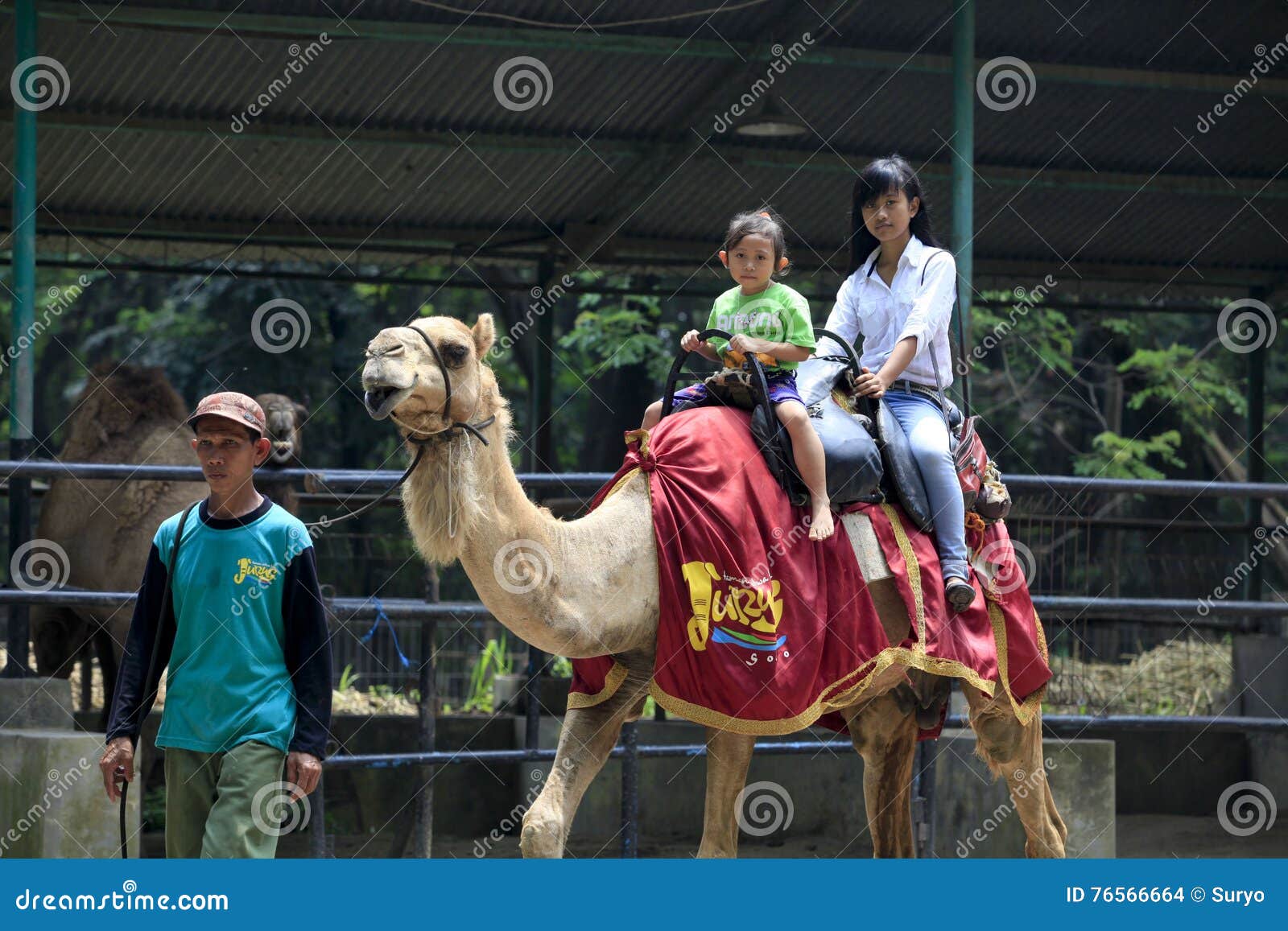 download camelback download camelback