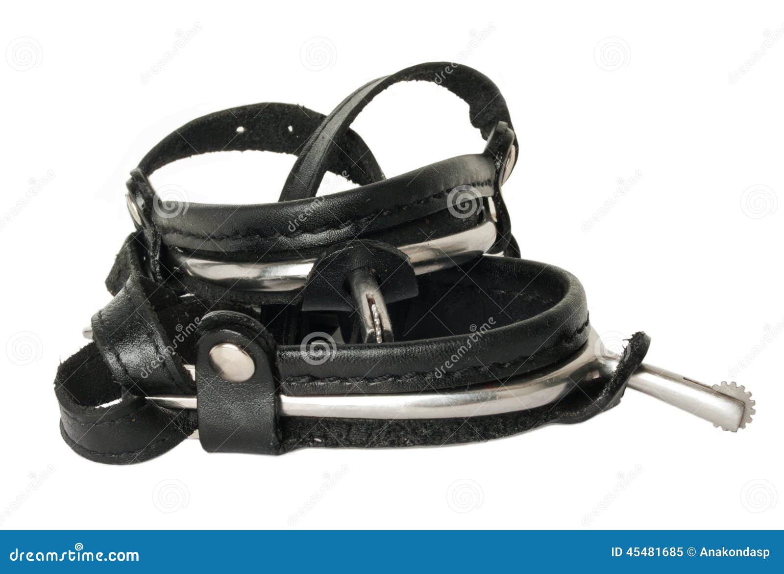 Riding Dressage Spurs in Case Isolated on White. Stock Image Image of spurs, equestrian 45481685