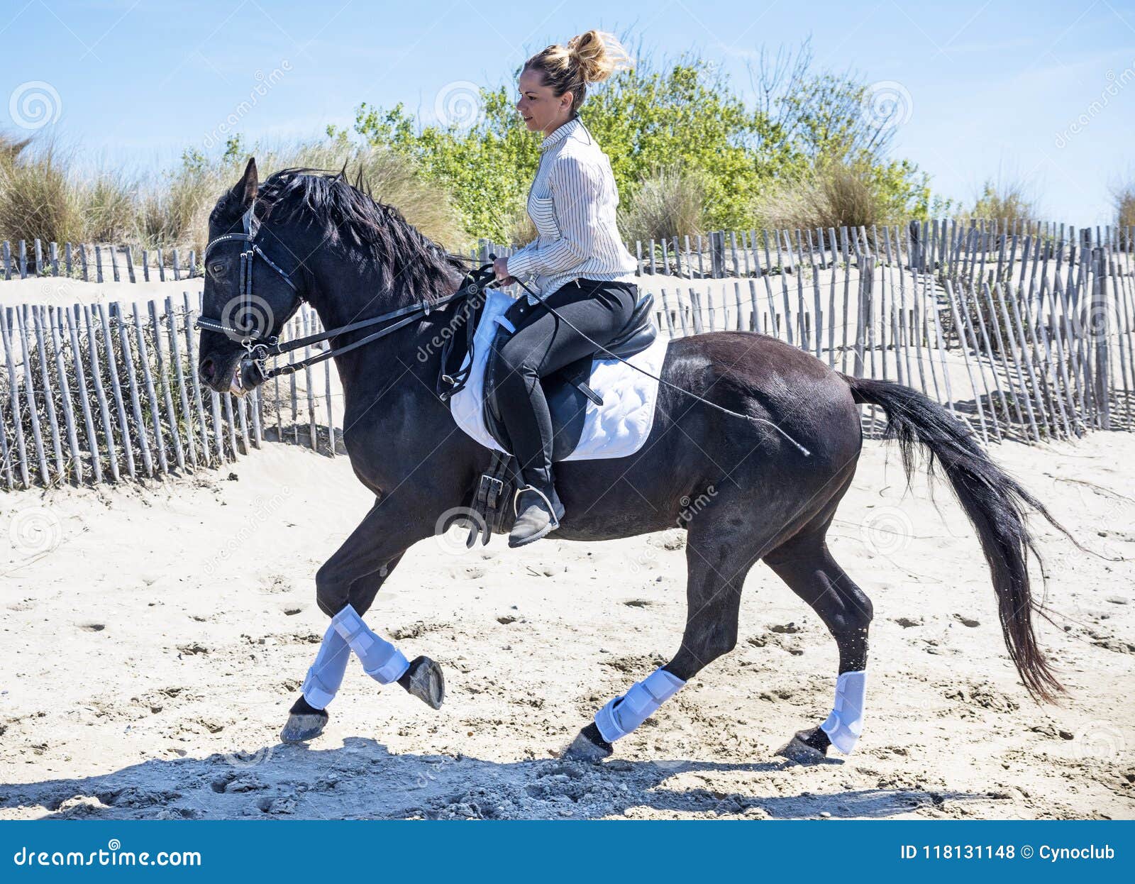 Riding girl on the beach stock photo. Image of horse - 118131148