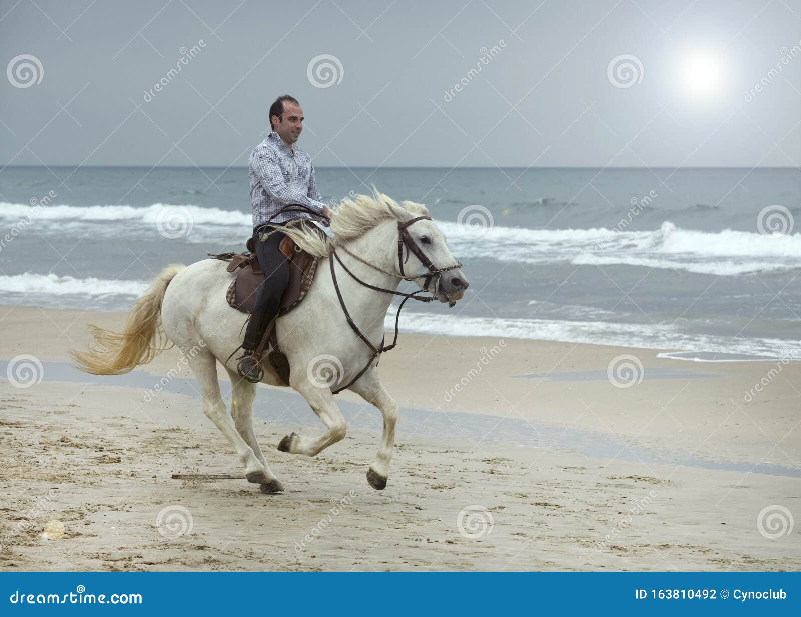 Riding man and horse stock photo. Image of cowboy, pony 163810492