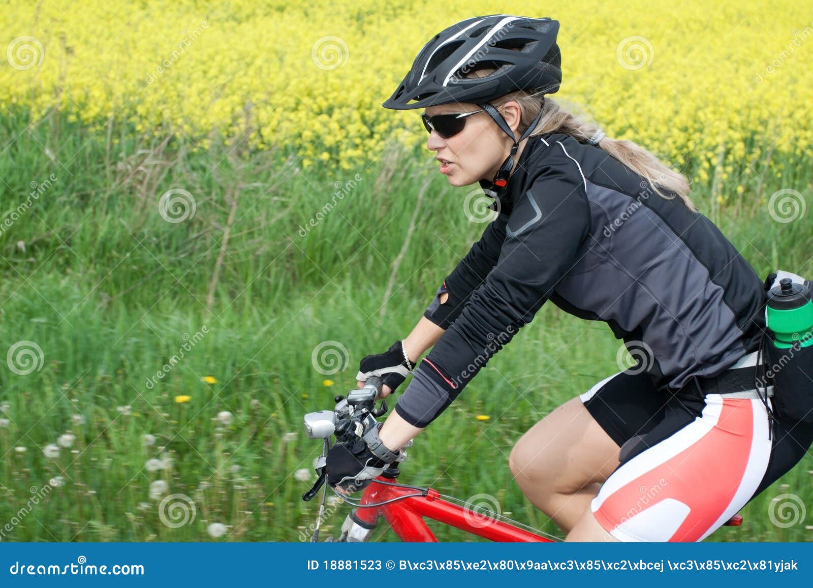 Riding on Mountain Bike in Summer Stock Image Image of bicycle
