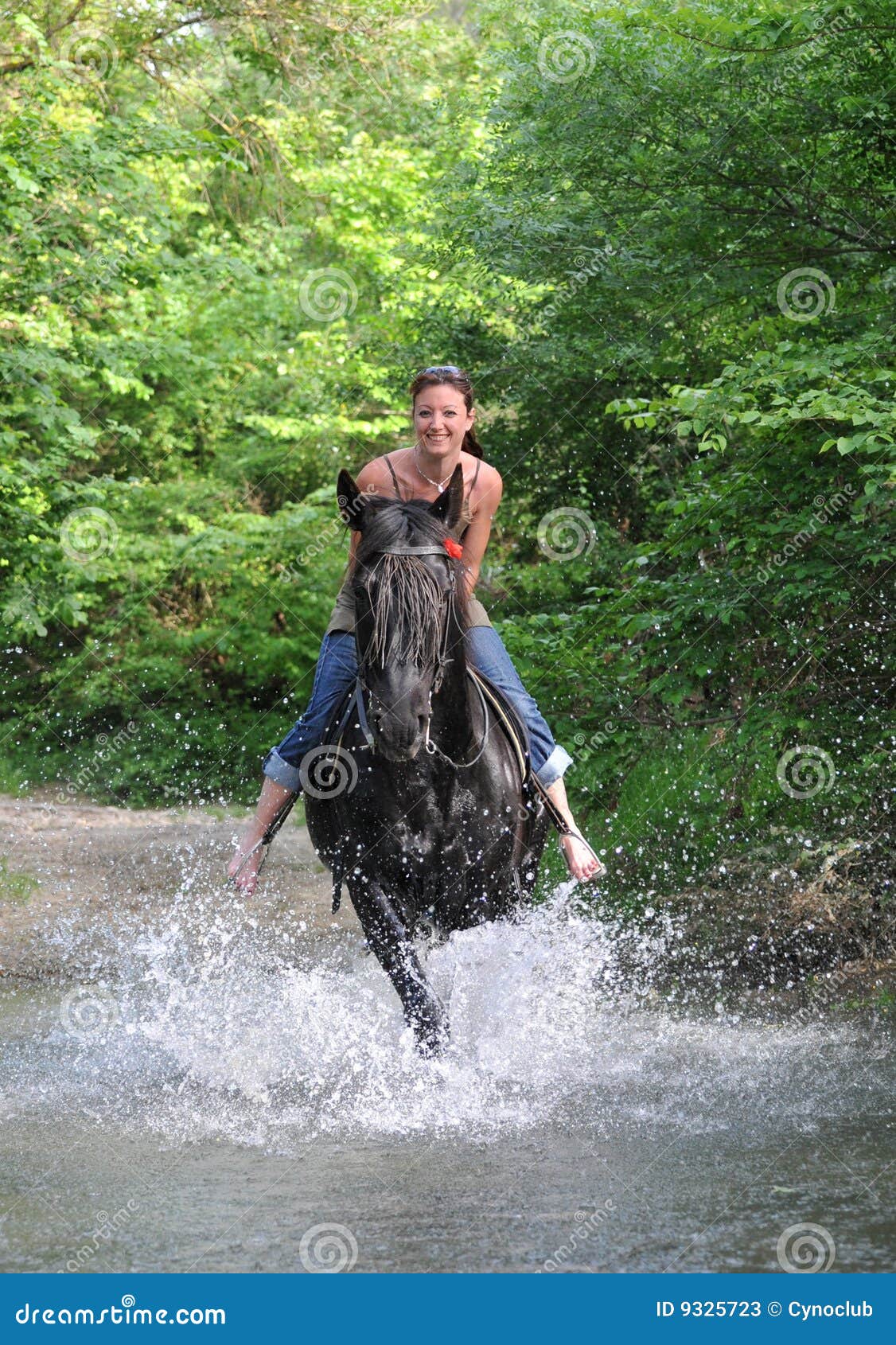 Riding woman stock image. Image of cool, horse, horseback - 9325723