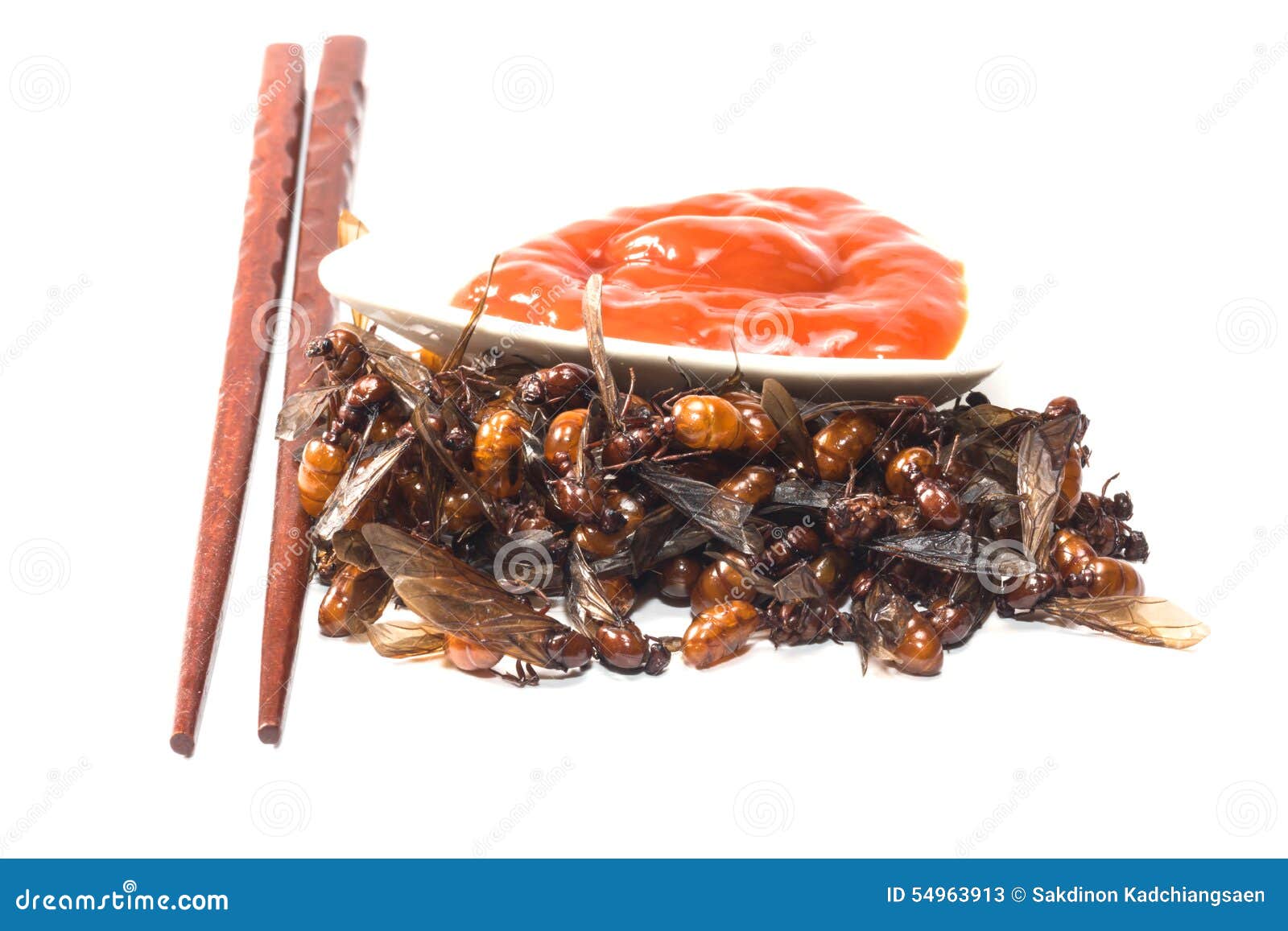 Ried Ant Fried Subterranean Ants Stock Image Image of thai