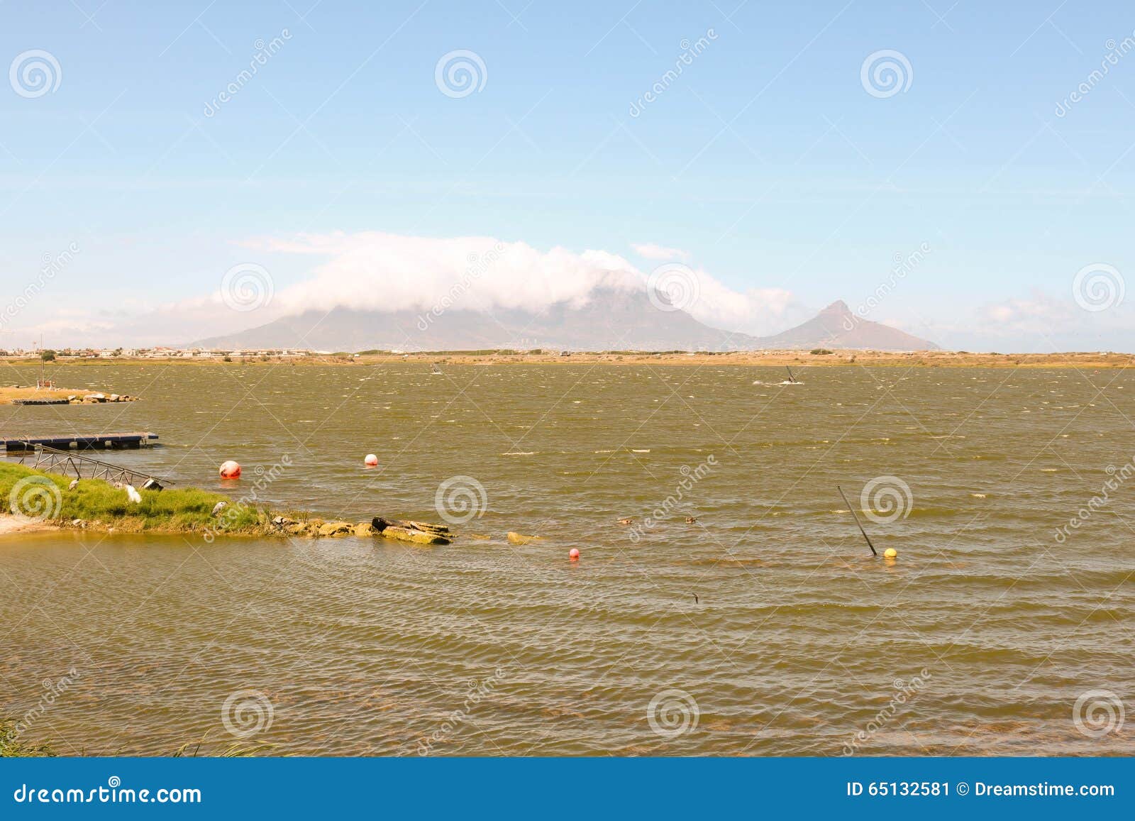 rietvlei in table bay nature reserve with table mountain in the background, cape town, south africa