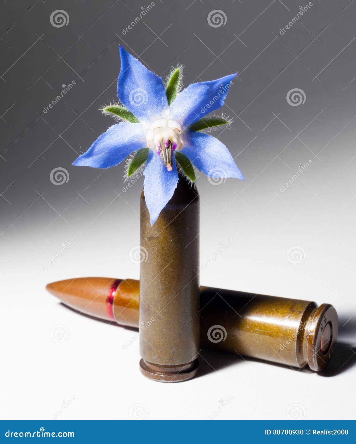 Rifle Bullet and a Flower Bullet Stock Photo - Image of peace, beauty
