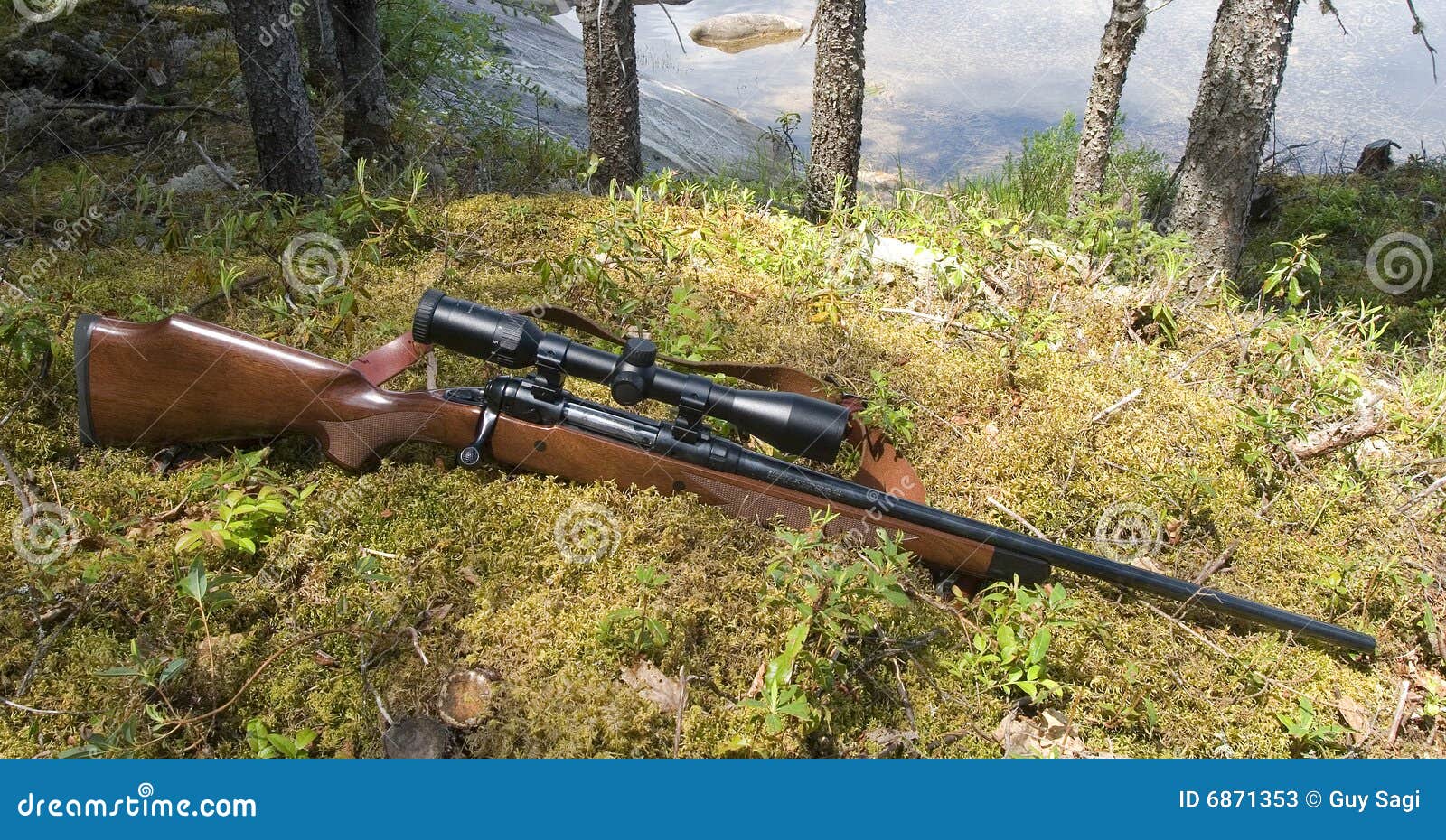 Rifle de la caza imagen de archivo. Imagen de caza, madera - 6871353