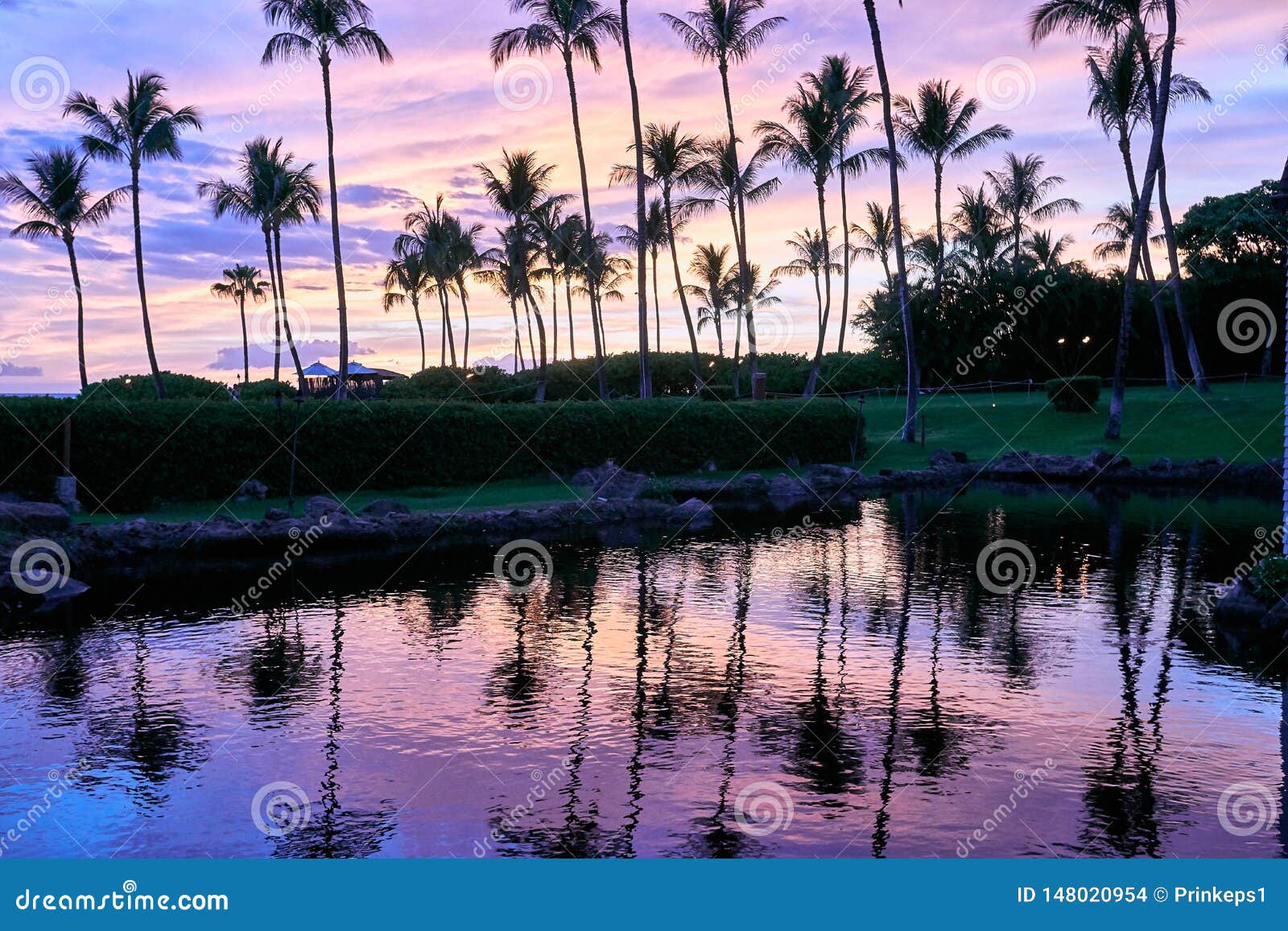 La riflessione delle palme su uno stagno durante il tramonto ad una località di soggiorno in Maui, Hawai