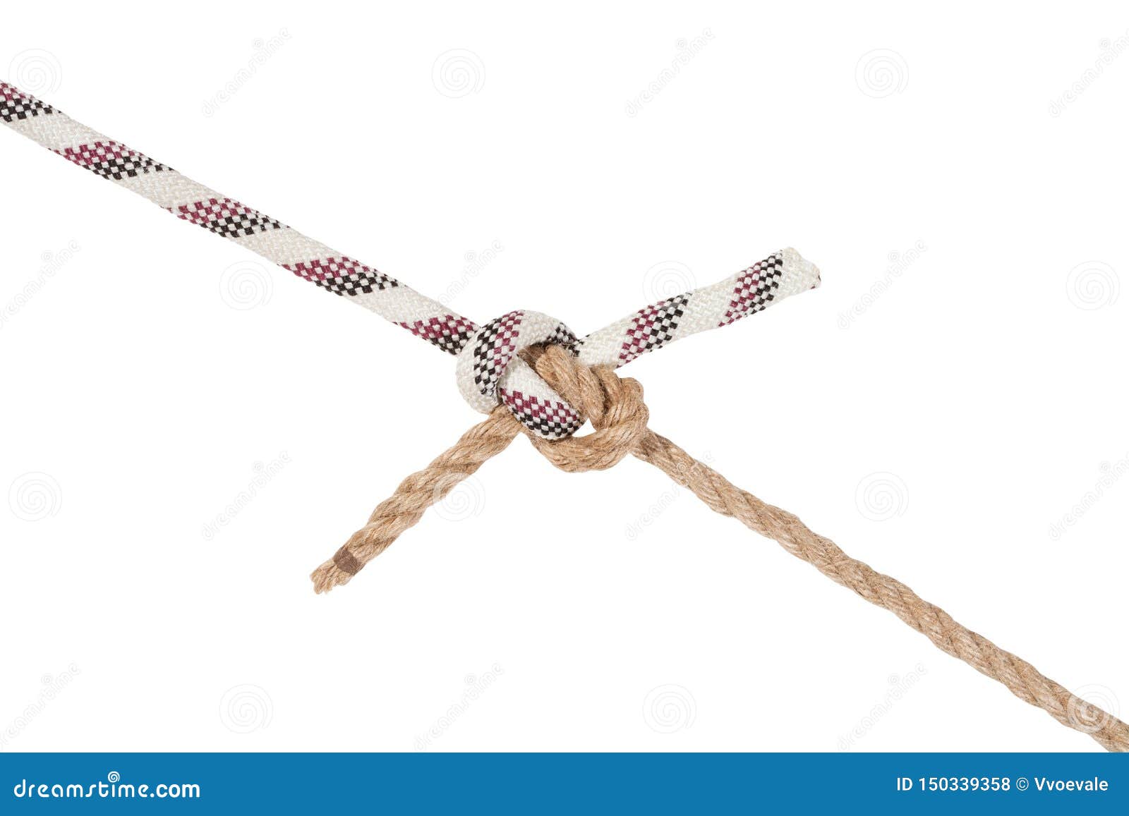 Rigger`s Bend Knot Joining Two Ropes Isolated Stock Photo Image of