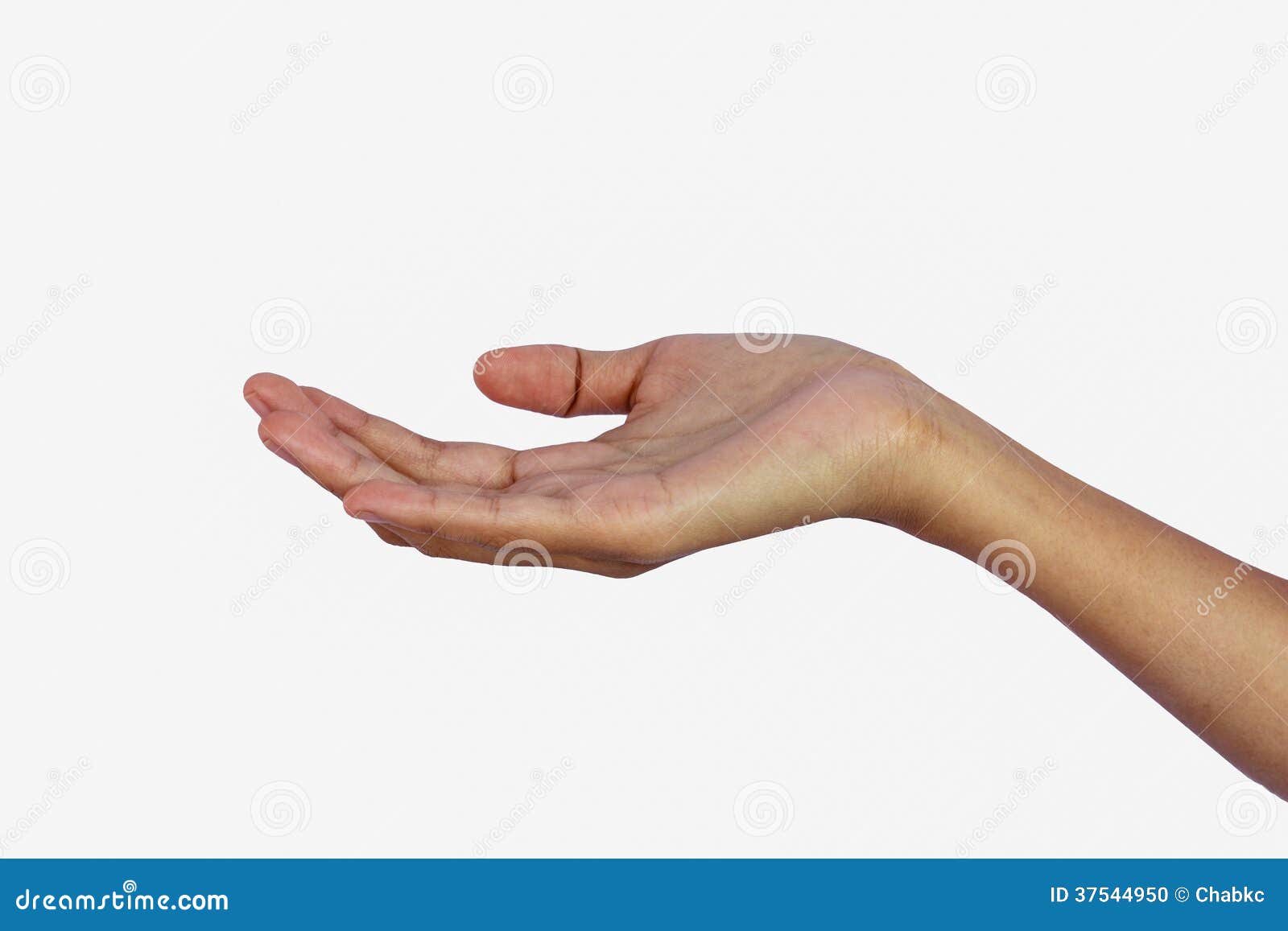 Right hand of women stock photo. Image of success, isolated 37544950