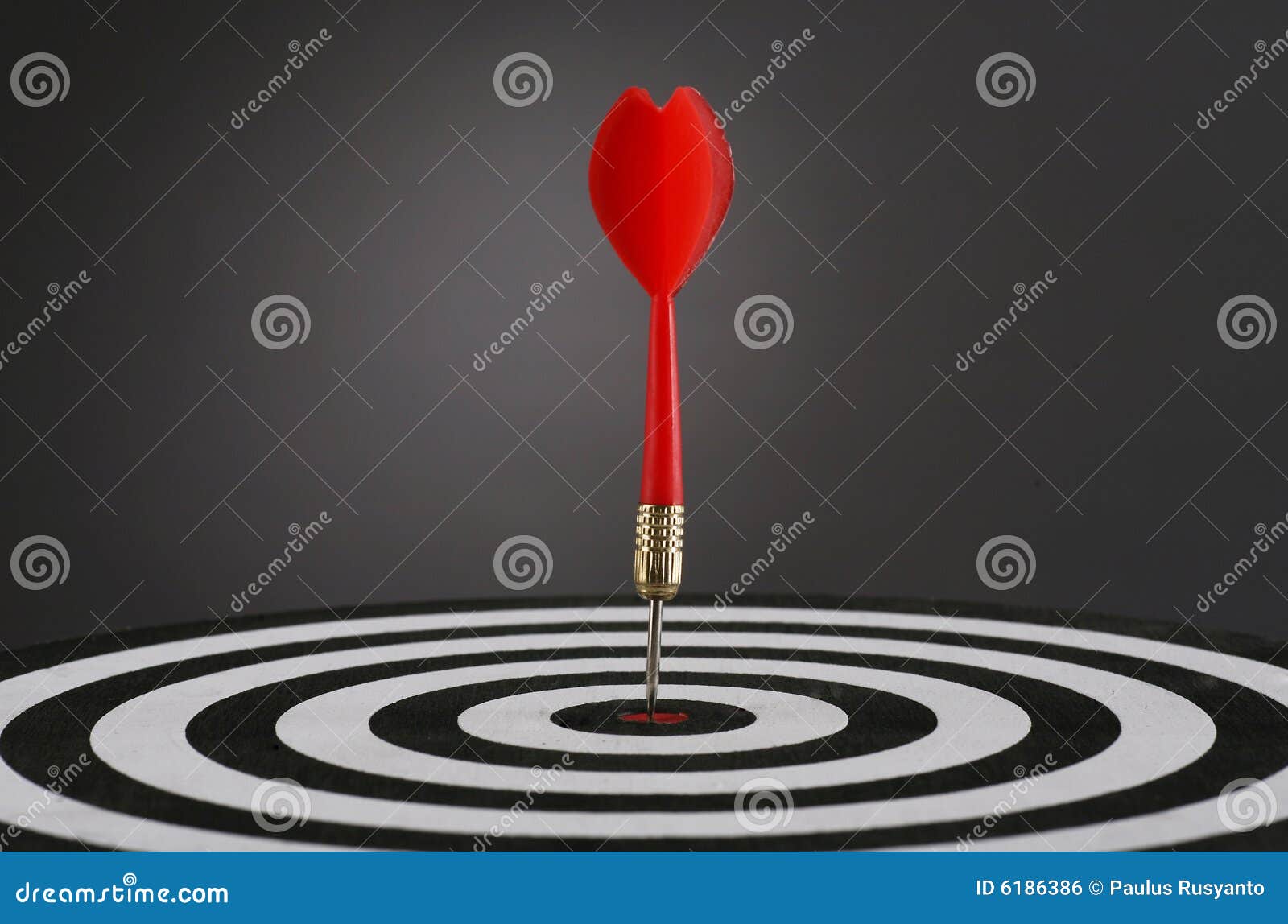 Right on Target (landscape) Stock Photo Image of leisure, board 6186386