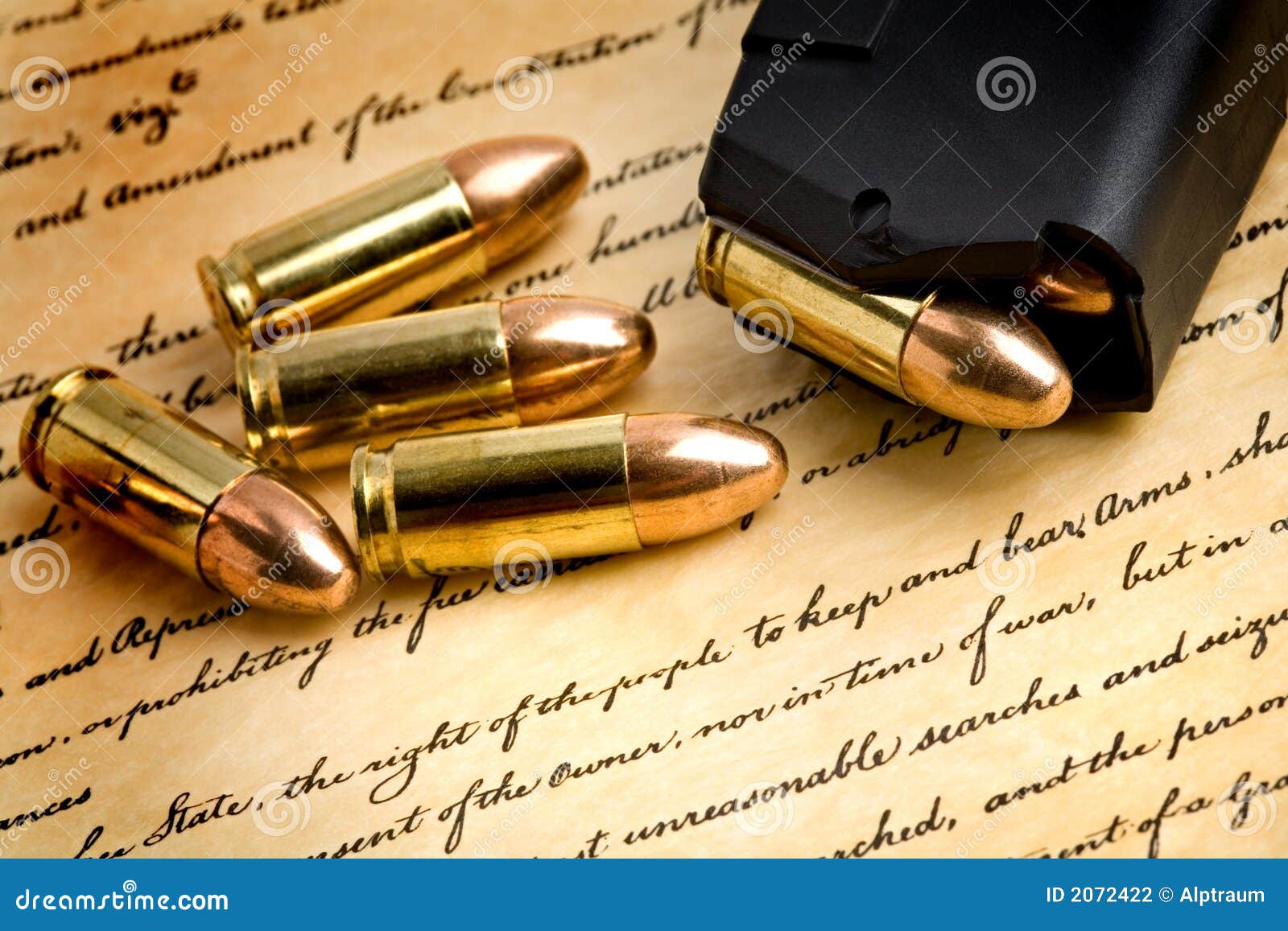 Right to bear arms stock photo. Image of golden, history 2072422
