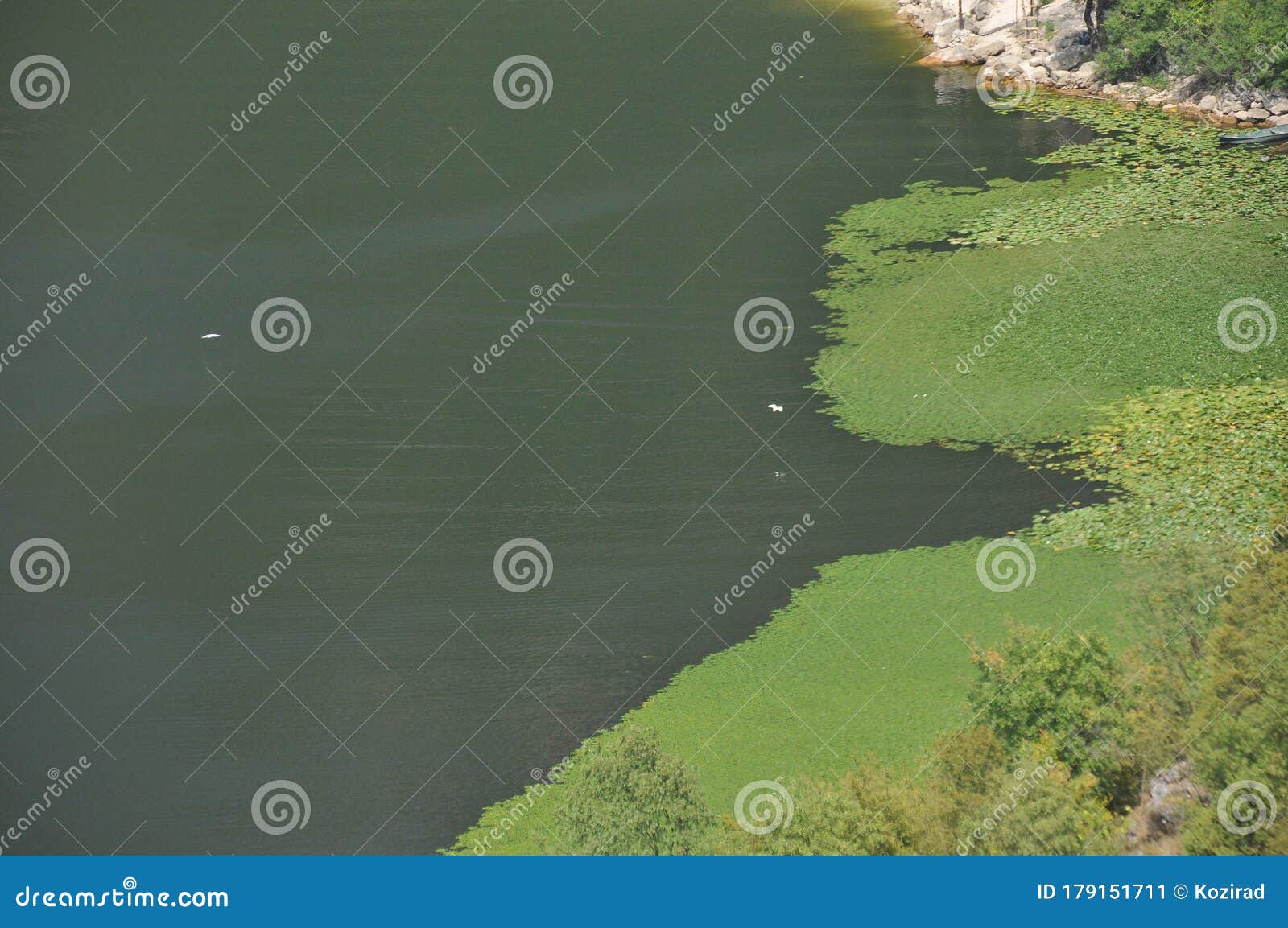 rijeka crnojeviÃâ¡a, part of the skadar lake in montenegro. tourist cruises by boat on the beautiful meanders of the river flowing