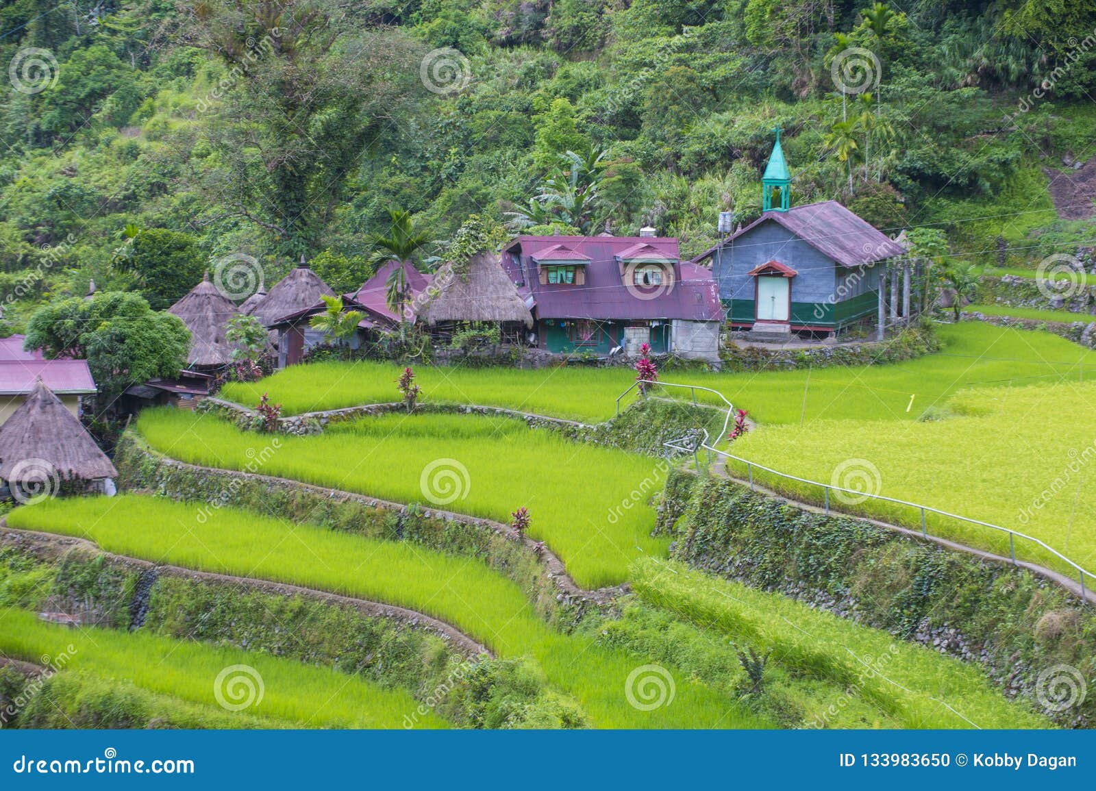 Rijstterrassen in Banaue de Filippijnen. Mening van de gebieden van rijstterrassen in Banaue, Filippijnen De Banaue-rijstterrassen zijn Unesco-de plaats van de werelderfenis sinds 1995