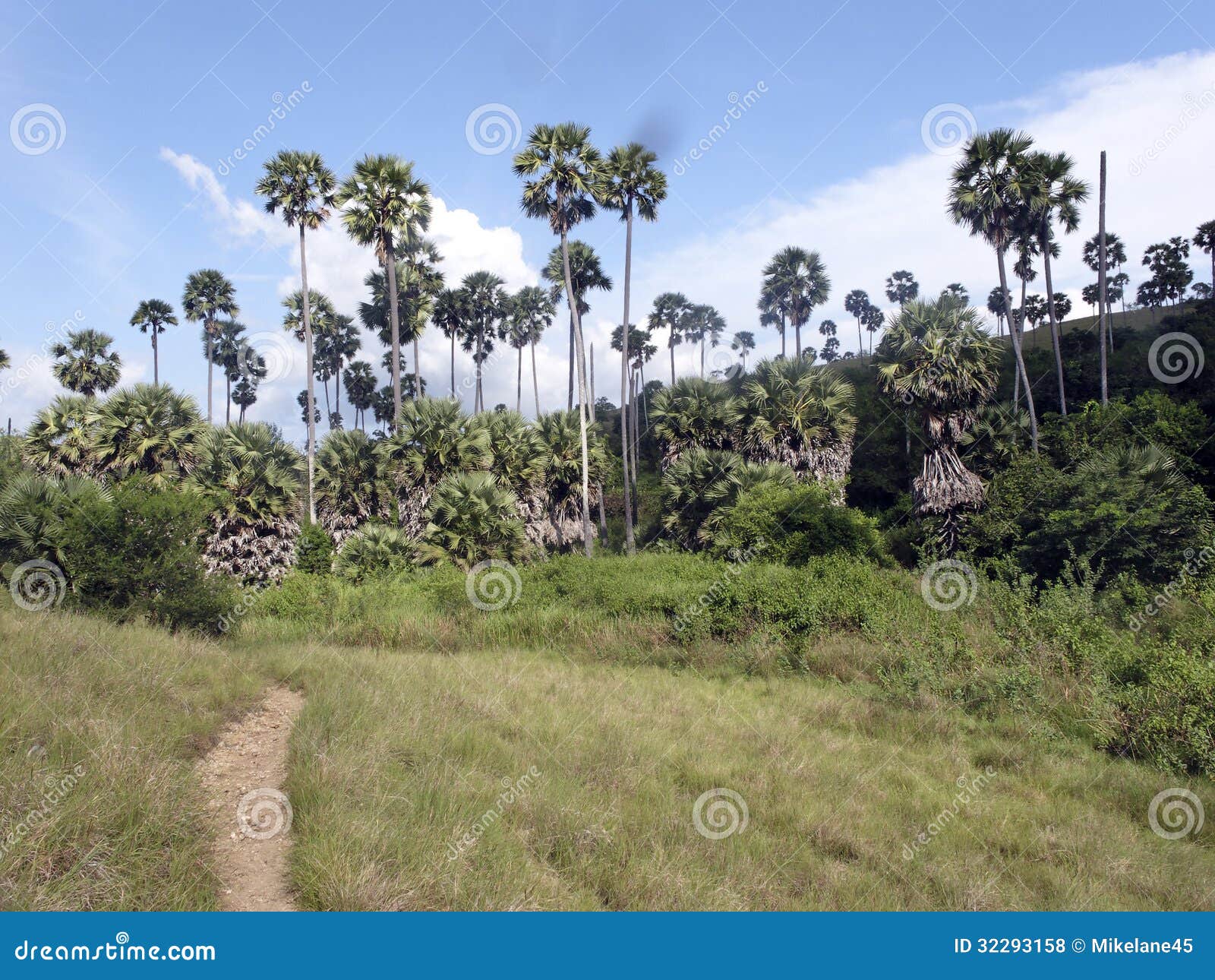 rinca island, komodo national park