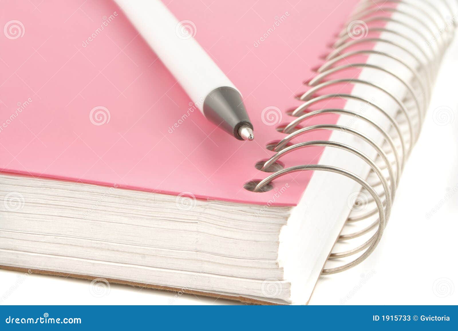 Ring binder and pen stock image. Image of books, sheets 1915733