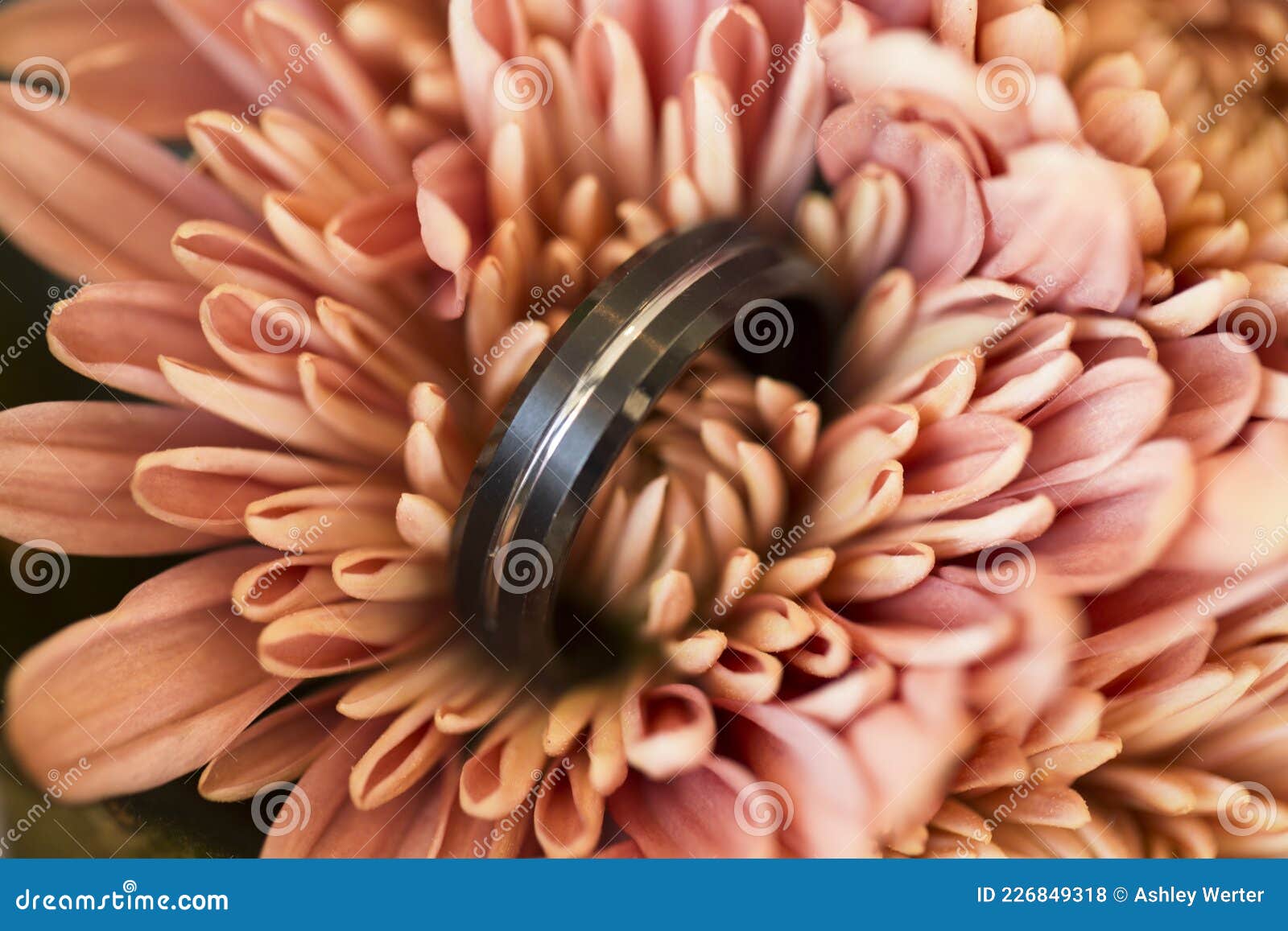 ring details in a wedding flower.