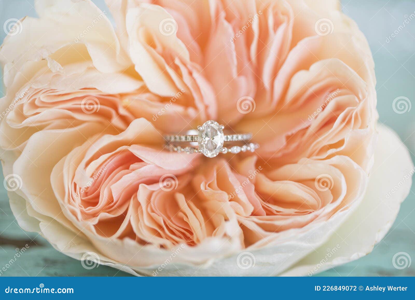 ring details in a wedding flower.