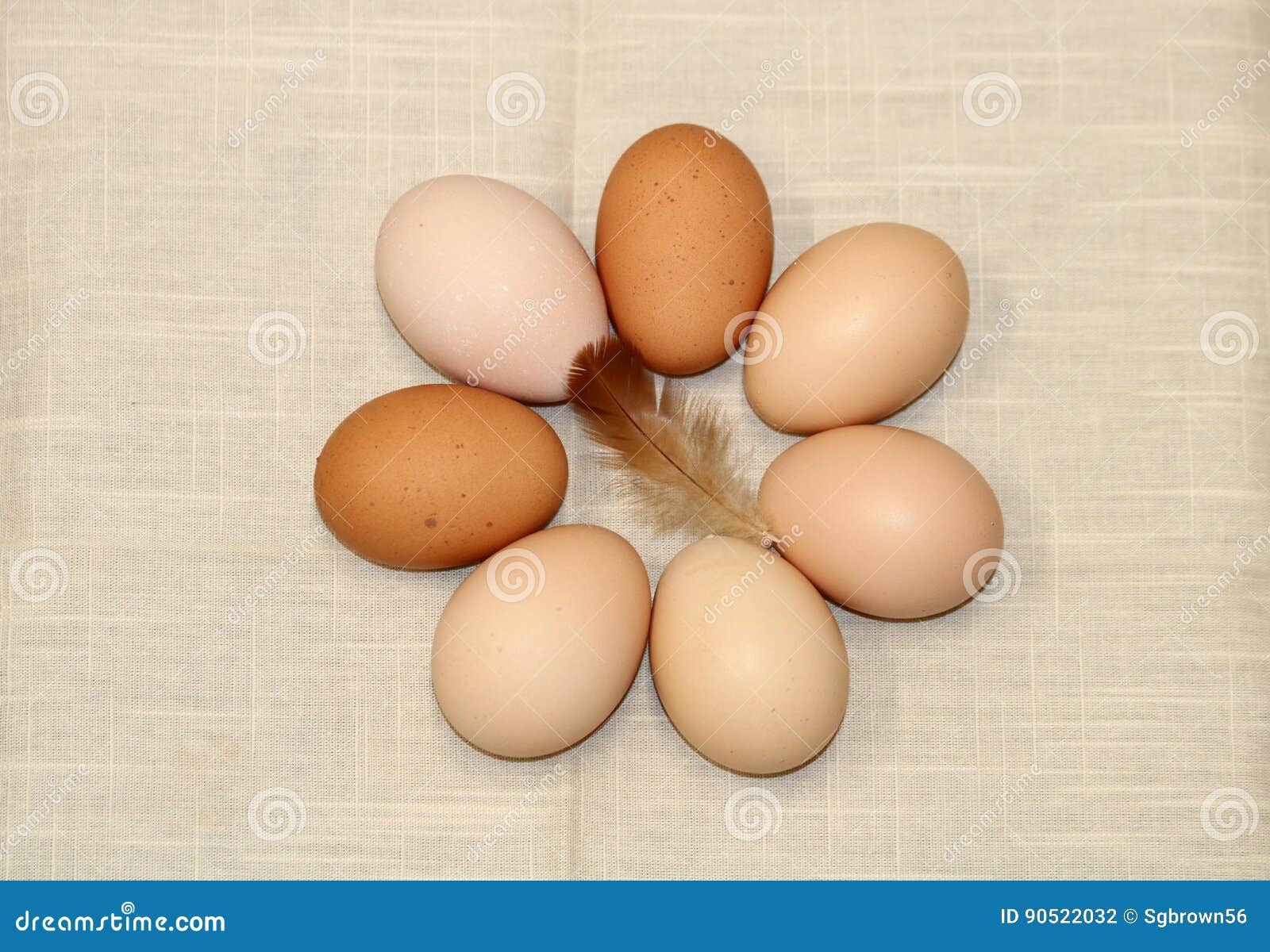 Farm Fresh Chicken Eggs Near Me See More on | SilentTool ...
