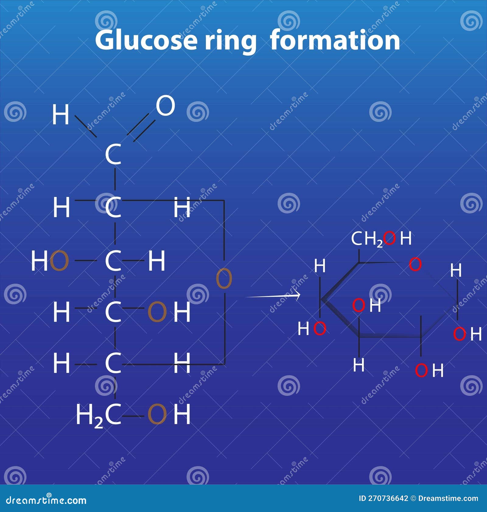 Telugu] Write a brief note on the structure of glucose.