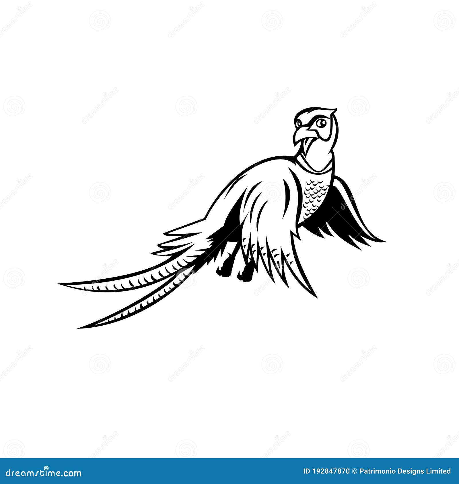 Flying Pheasant. Vector Black Image Of Bird Isolated On White
