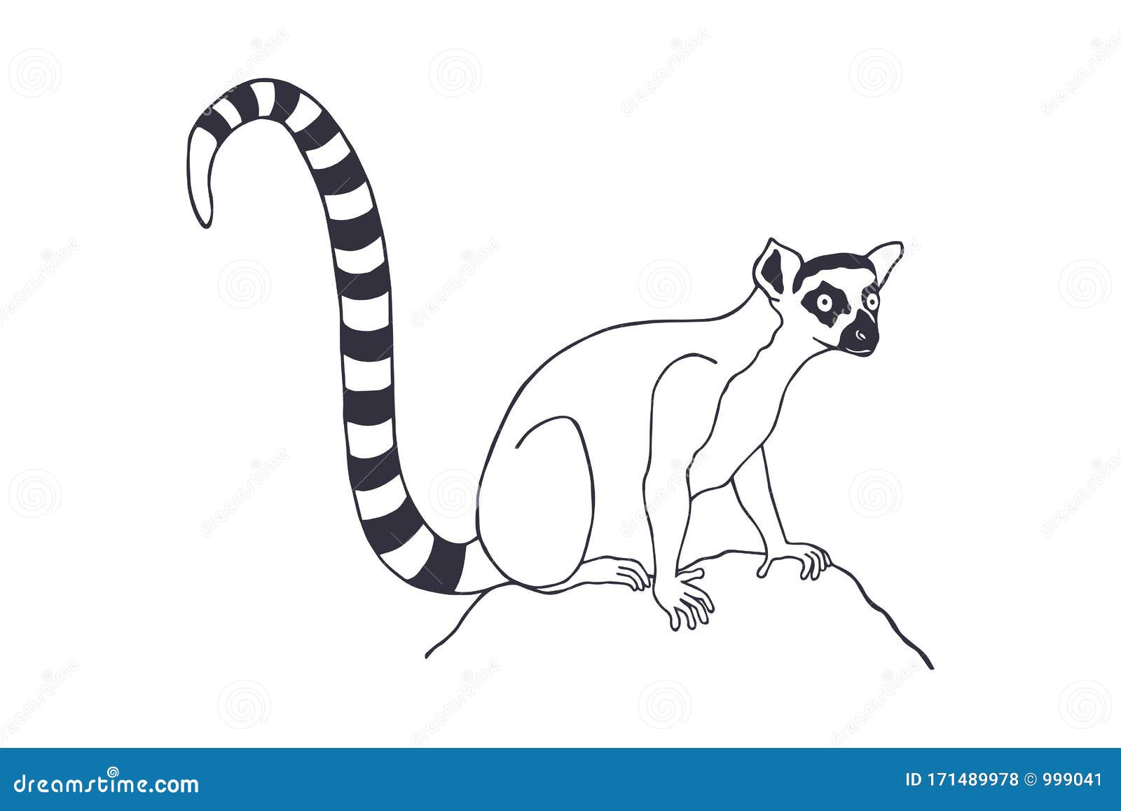 Ring-tailed Lemur, Lumpy, Katta. Eps10 Vector Stock Illustration. Out Line.  Hand Drawing Stock Vector - Illustration of black, wild: 171489978