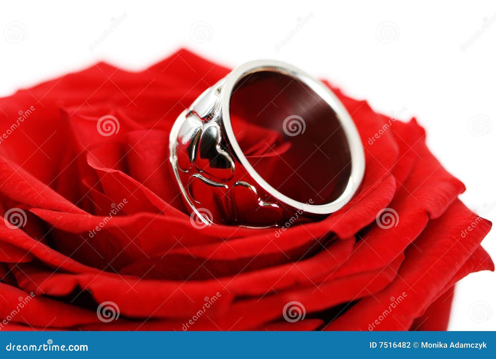 Ring for you stock photo. Image of elegant, isolated, white 7516482