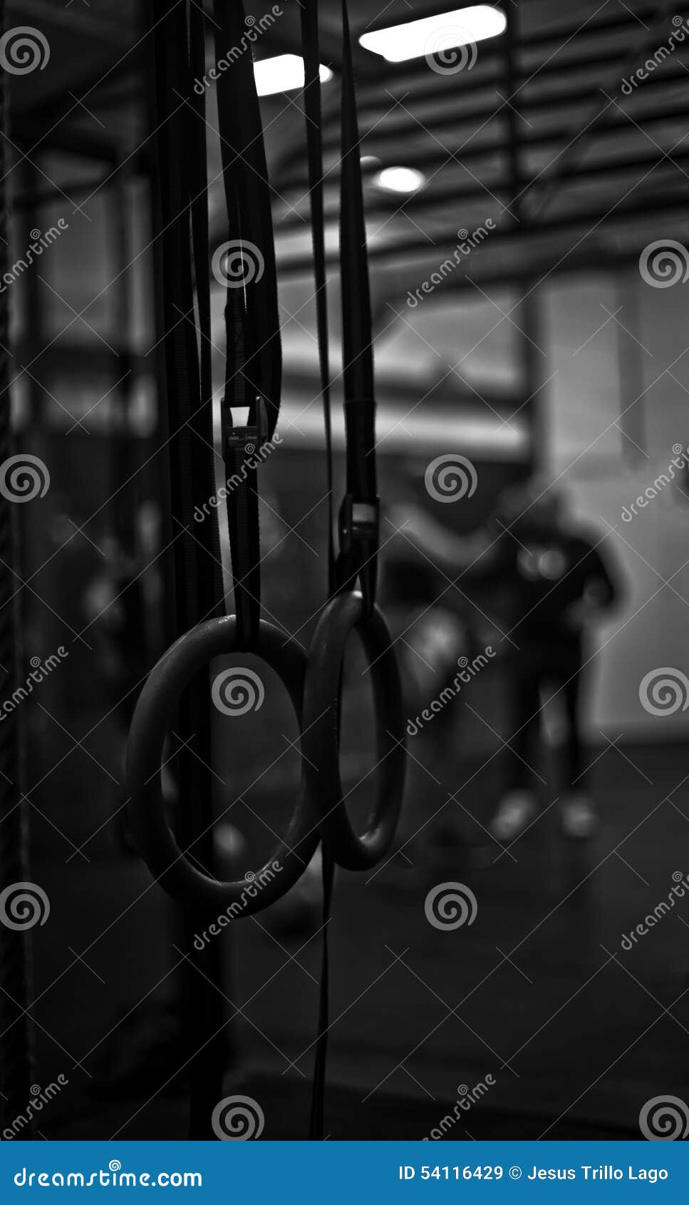 Rings in a crossfit gym stock image. Image of lifestyles 54116429