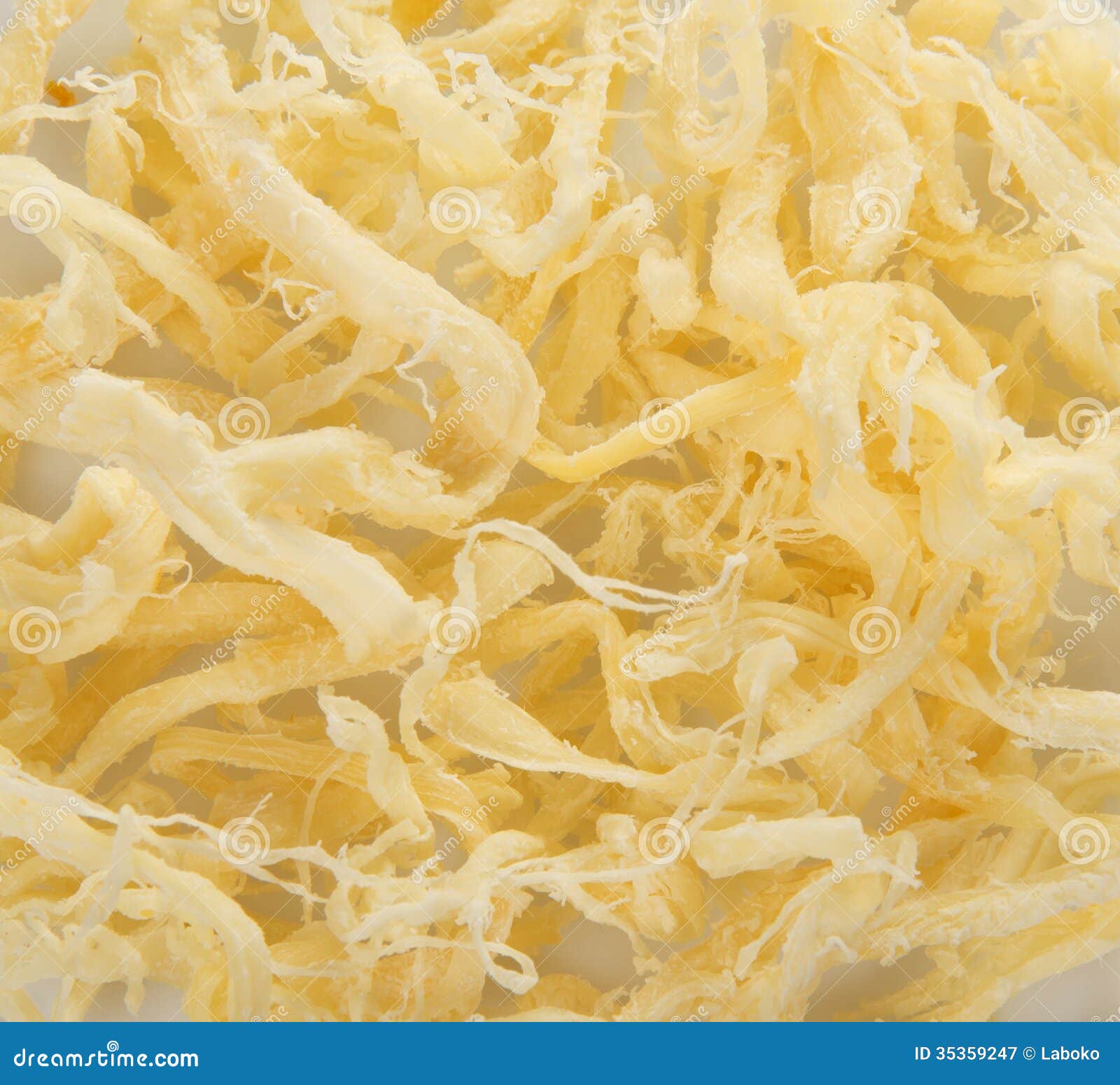 Rings of the Driedup Squid Stock Image Image of color, nutrition