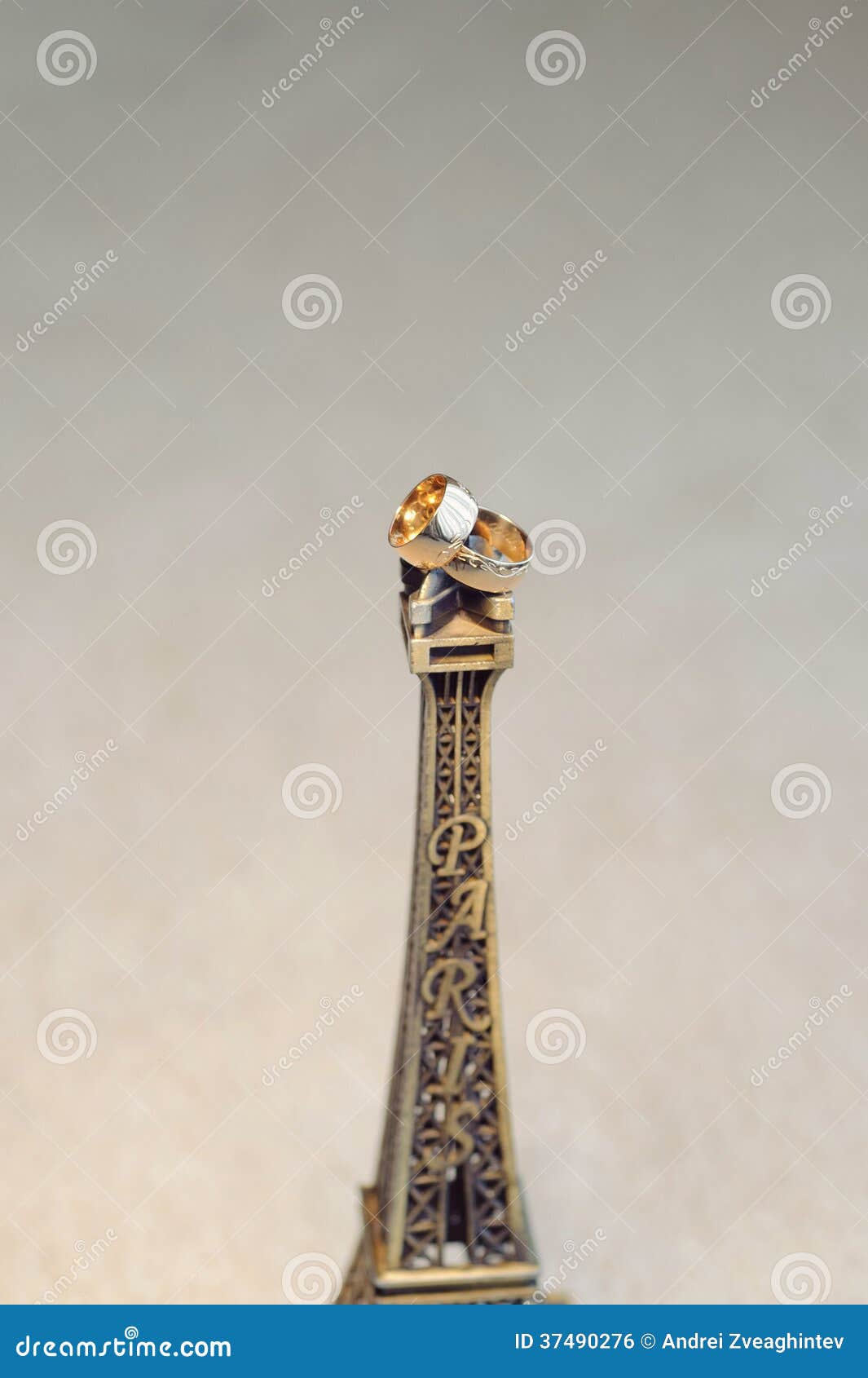 Rings in Paris stock photo. Image of romance, pair, arrangement 37490276