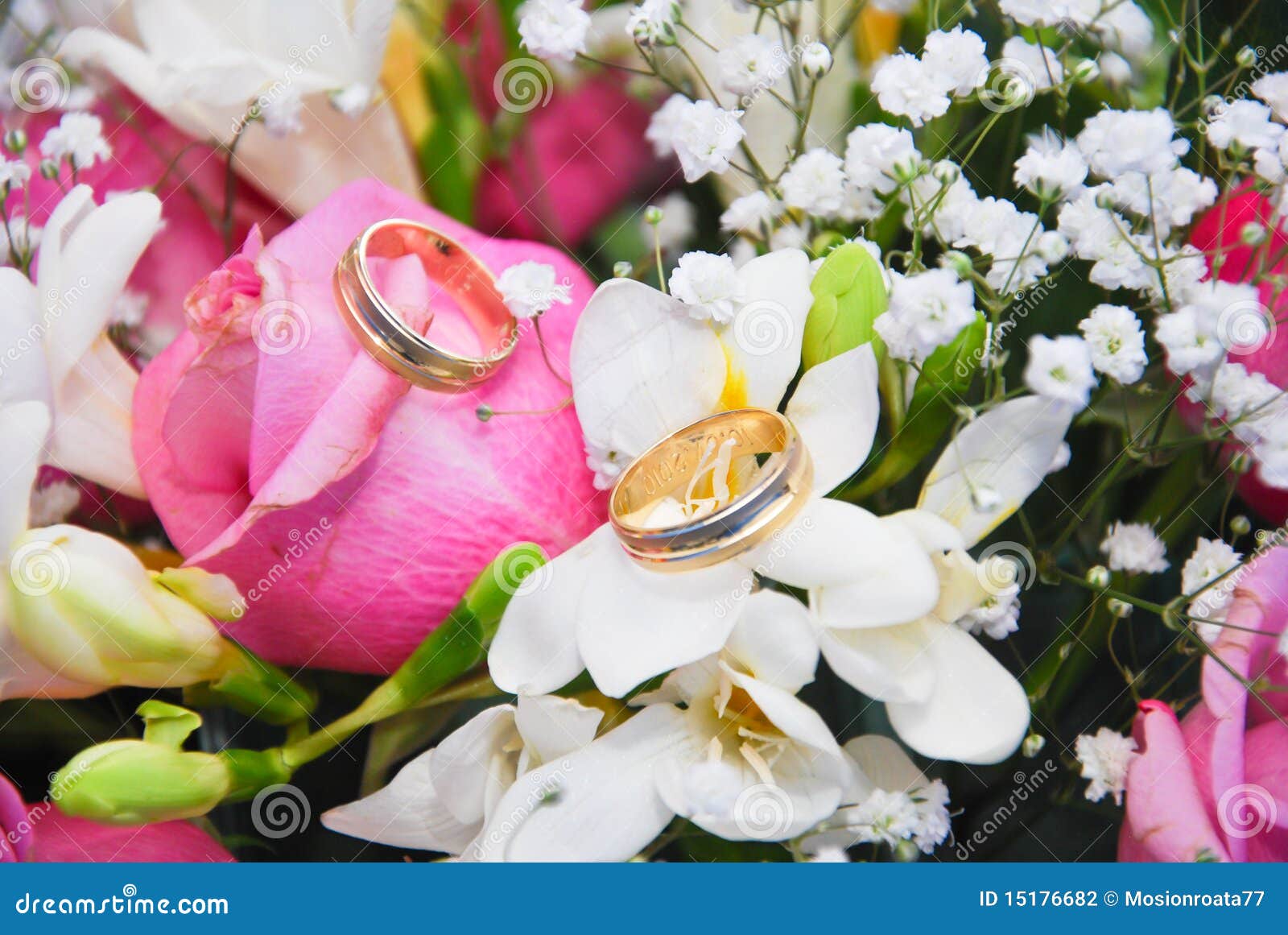 Rings on roses stock photo. Image of beauty, bloom, golden - 15176682