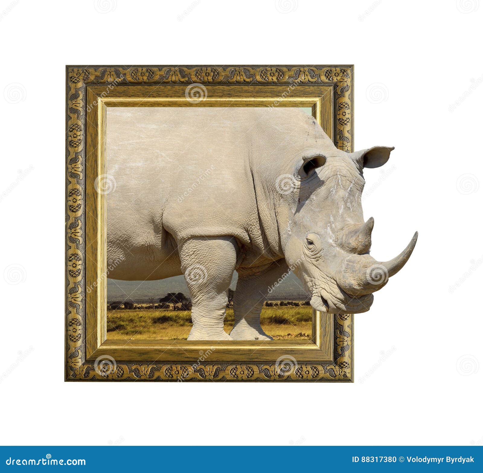 Dessin Qui Sort Du Cadre Rinoceronte No Quadro Com Efeito 3d Foto de Stock - Imagem de velho, isolado: 88317380
